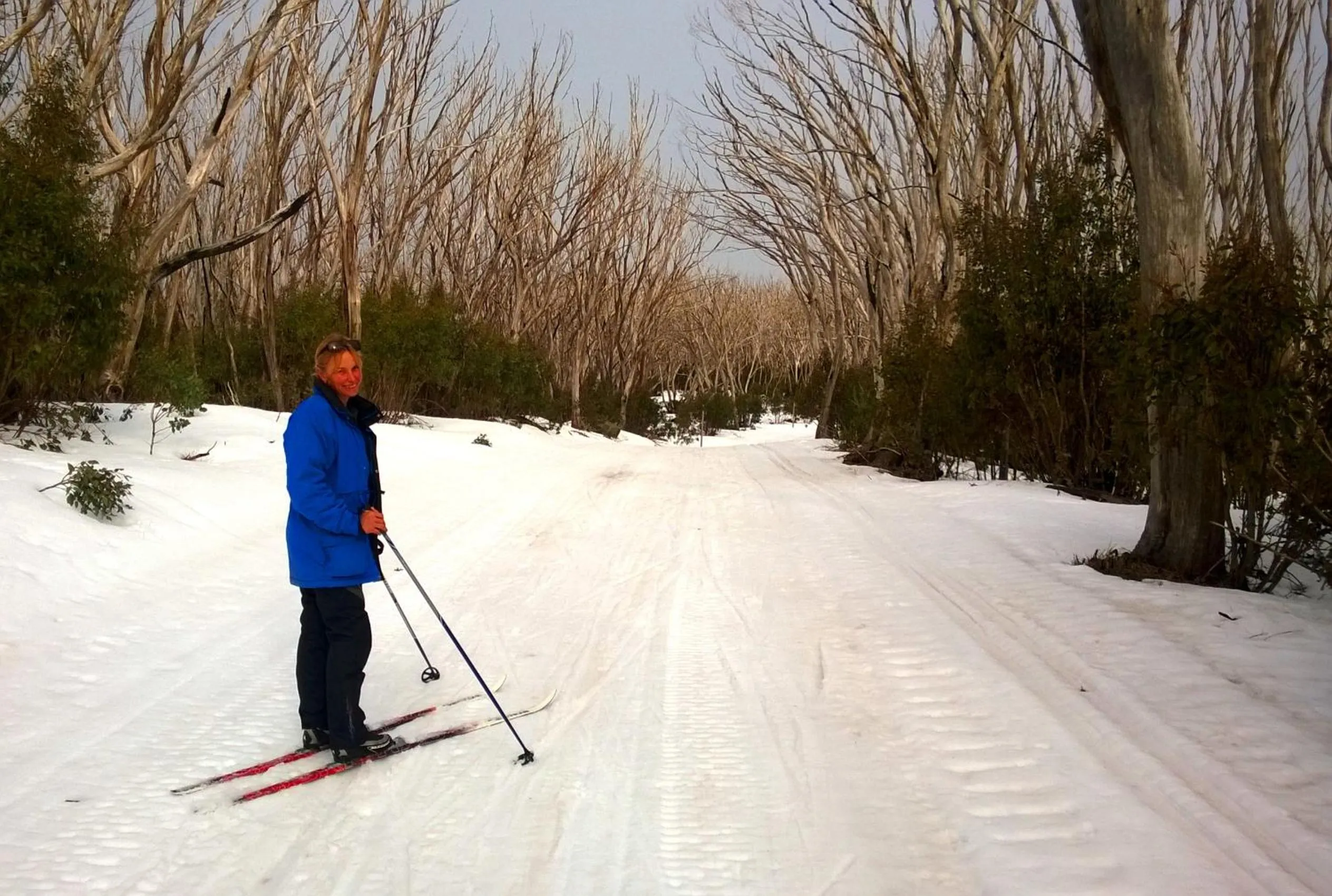 Skiing in Marysville Garden Cottages