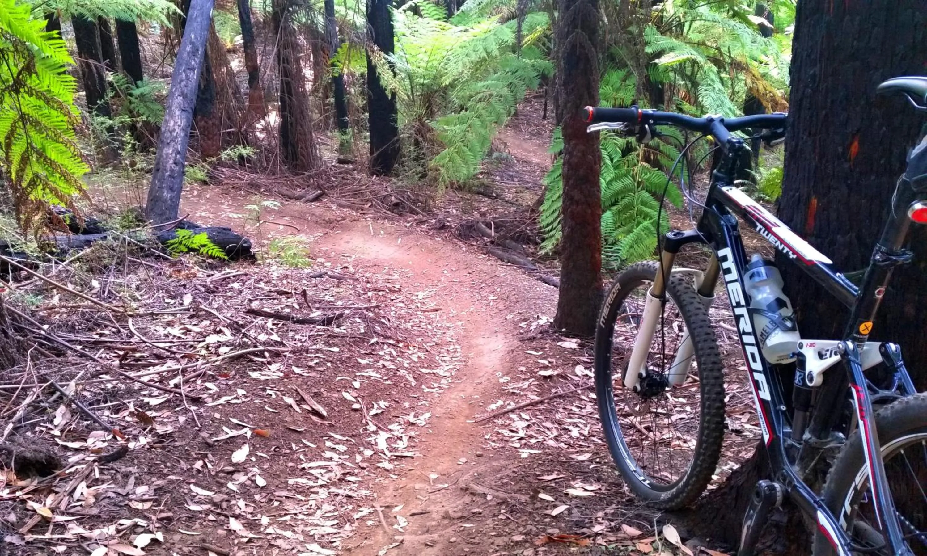 Cycling in Marysville Garden Cottages
