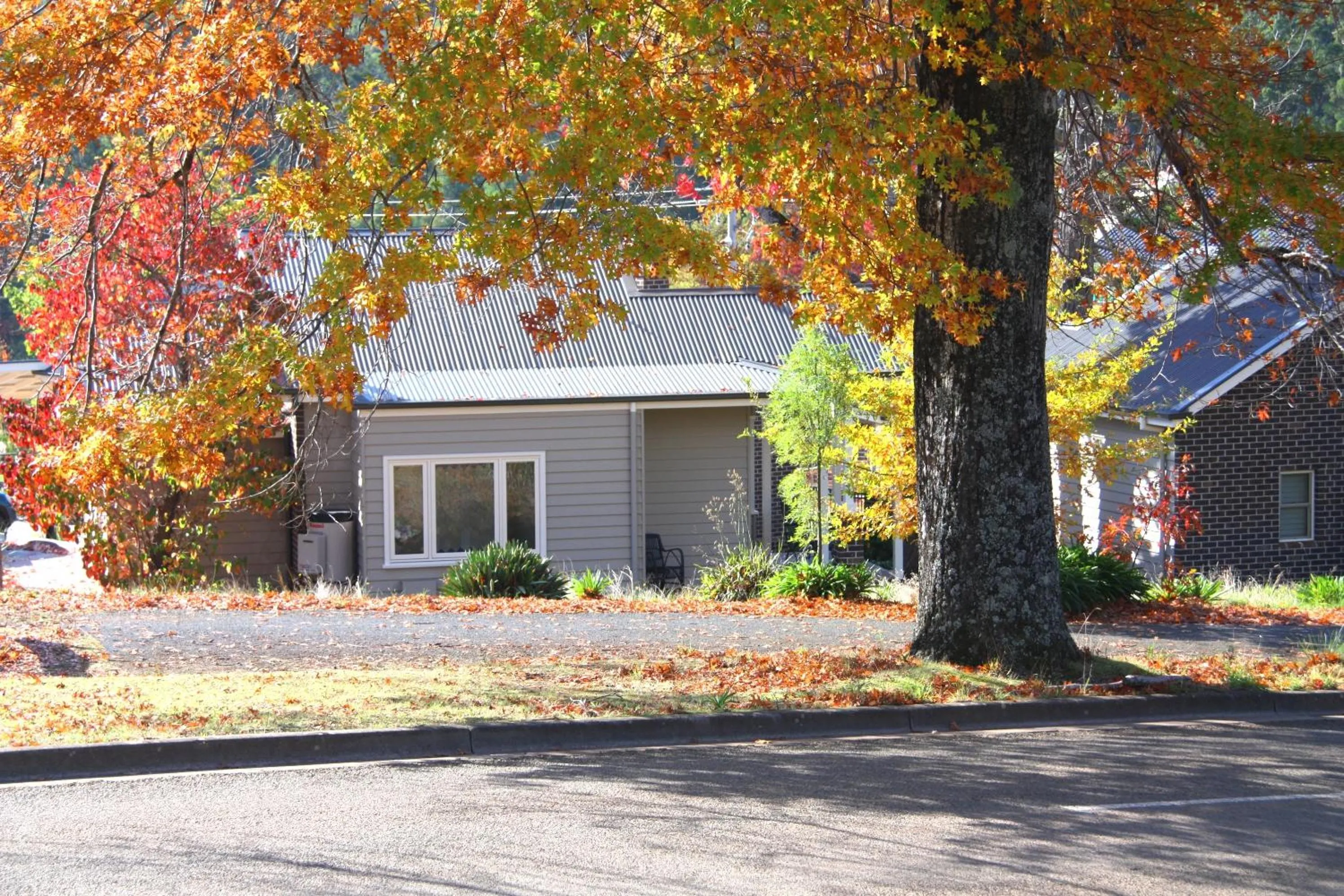 Street view in Marysville Garden Cottages