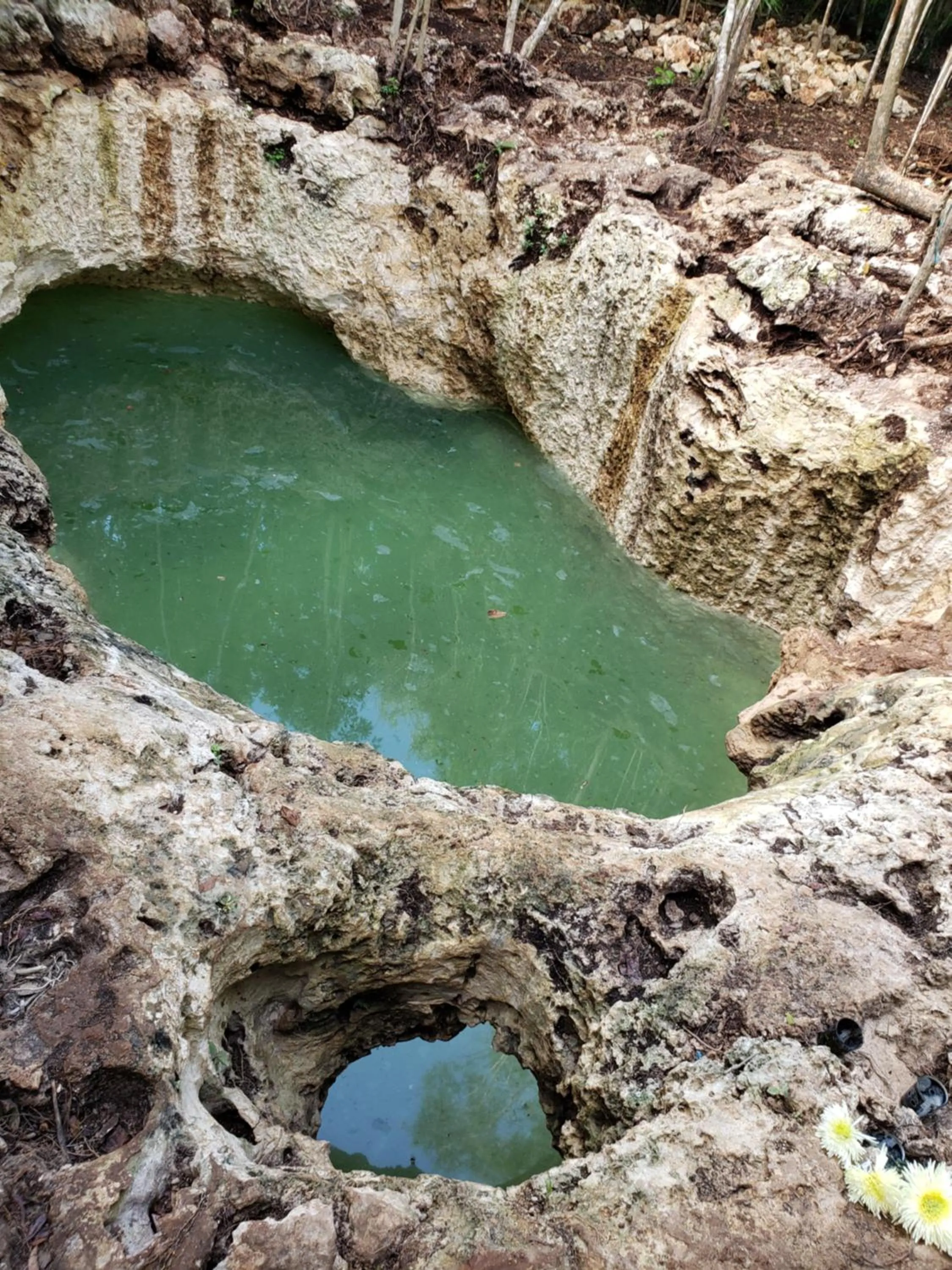 Natural landscape in Aldea Maya-Ha Cabañas con cenotes