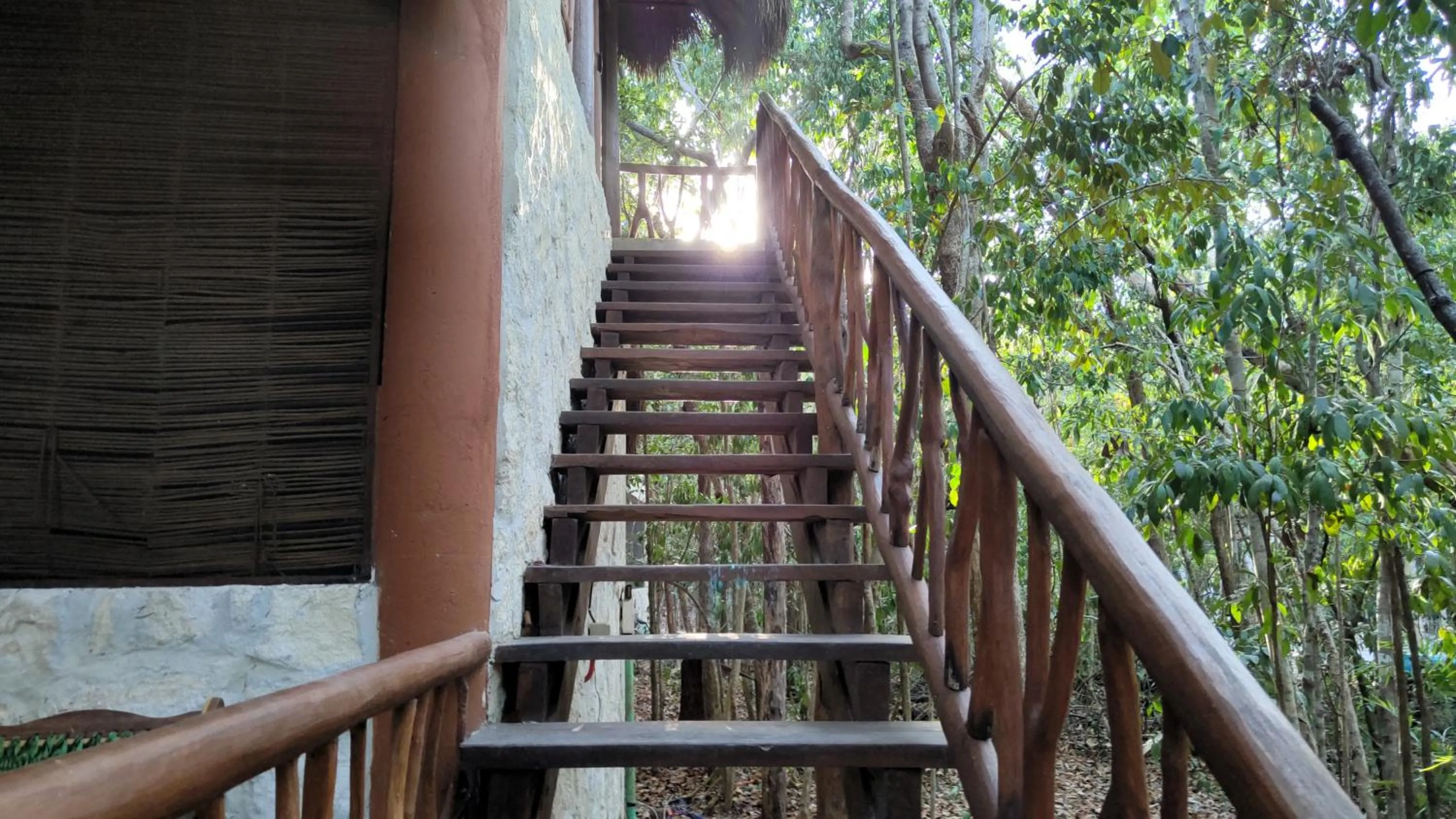 Day in Aldea Maya-Ha Cabañas con cenotes