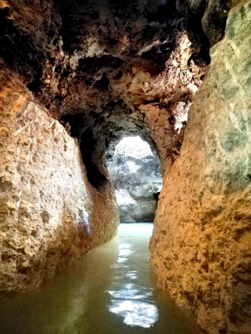 Natural landscape in Aldea Maya-Ha Cabañas con cenotes