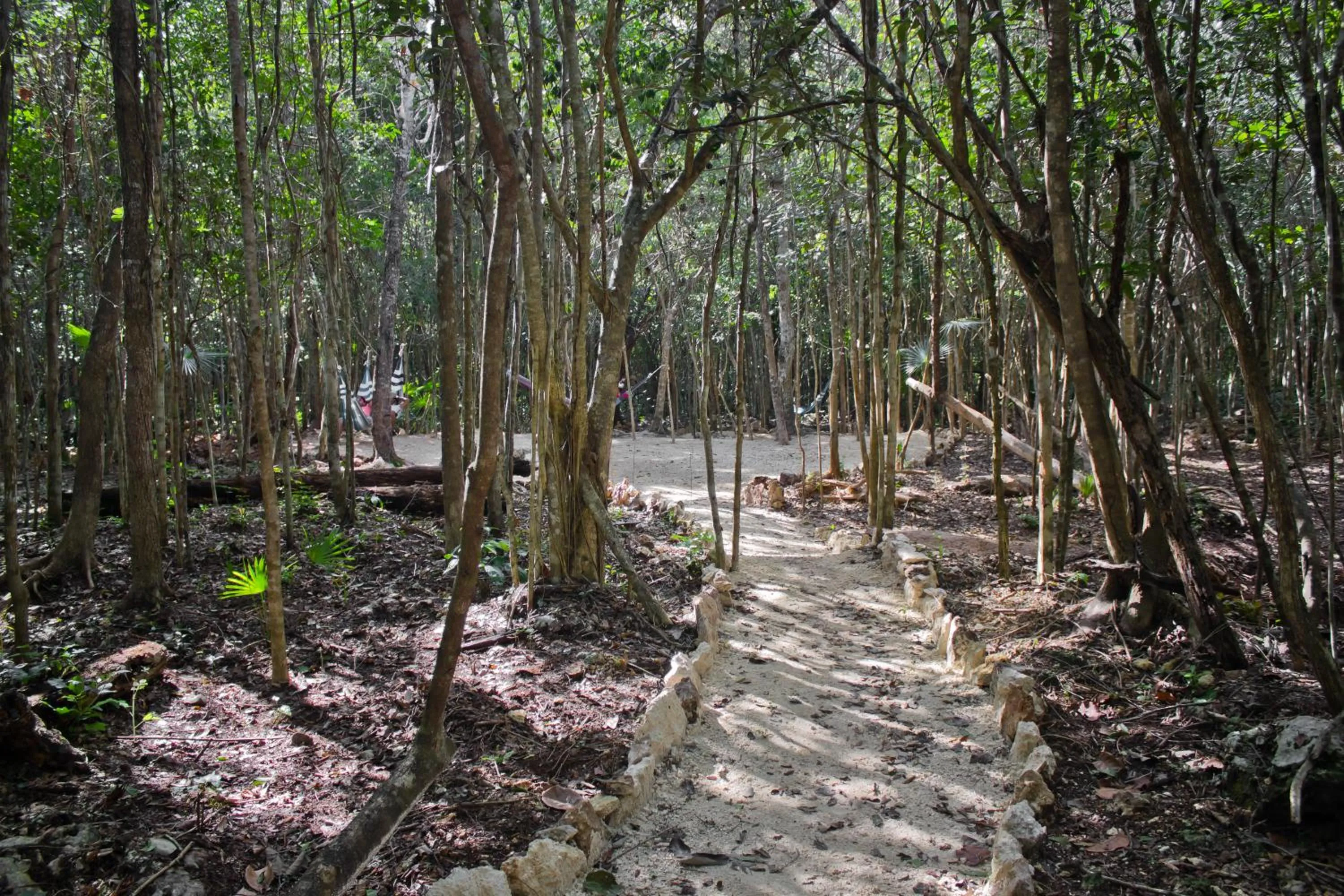 Natural landscape in Aldea Maya-Ha Cabañas con cenotes