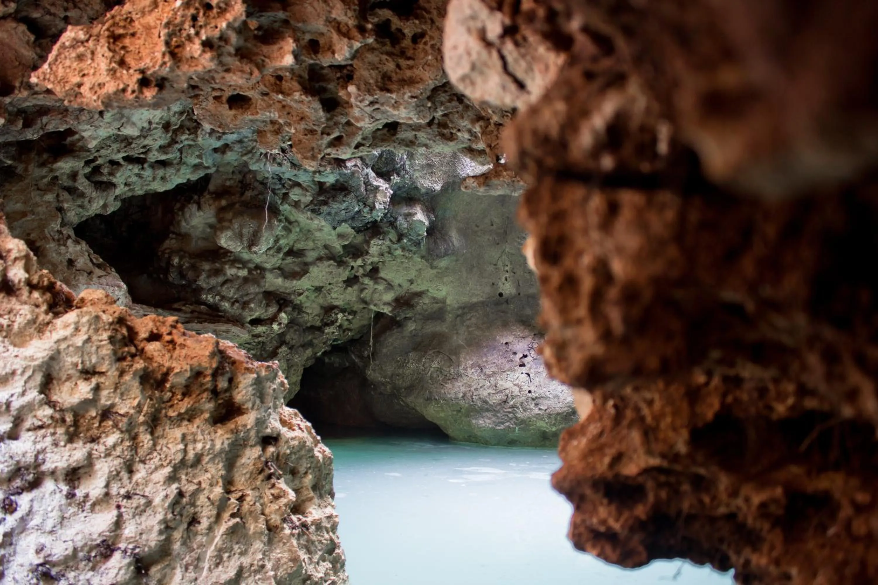 Natural landscape in Aldea Maya-Ha Cabañas con cenotes