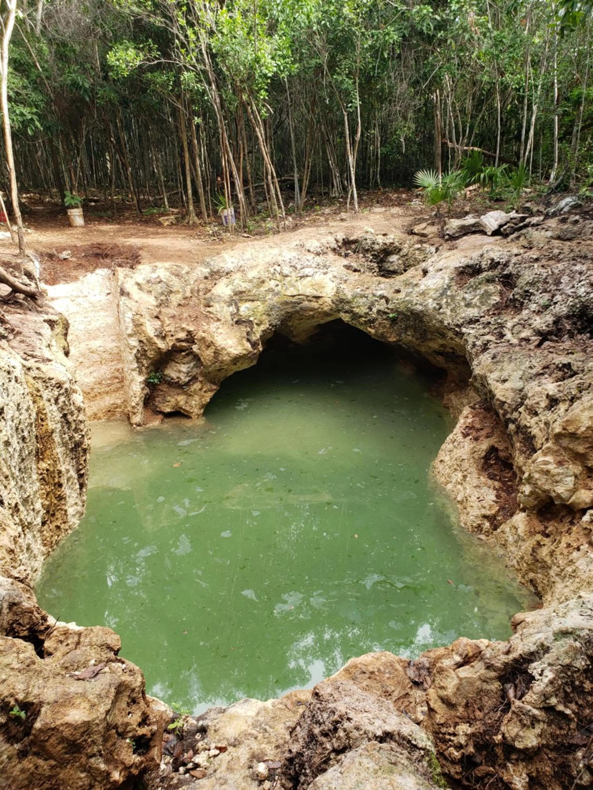 Natural landscape in Aldea Maya-Ha Cabañas con cenotes