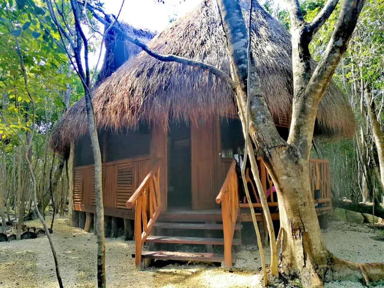 Photo of the whole room in Aldea Maya-Ha Cabañas con cenotes Photo of the whole room in Aldea Maya-Ha Cabañas con cenotes
