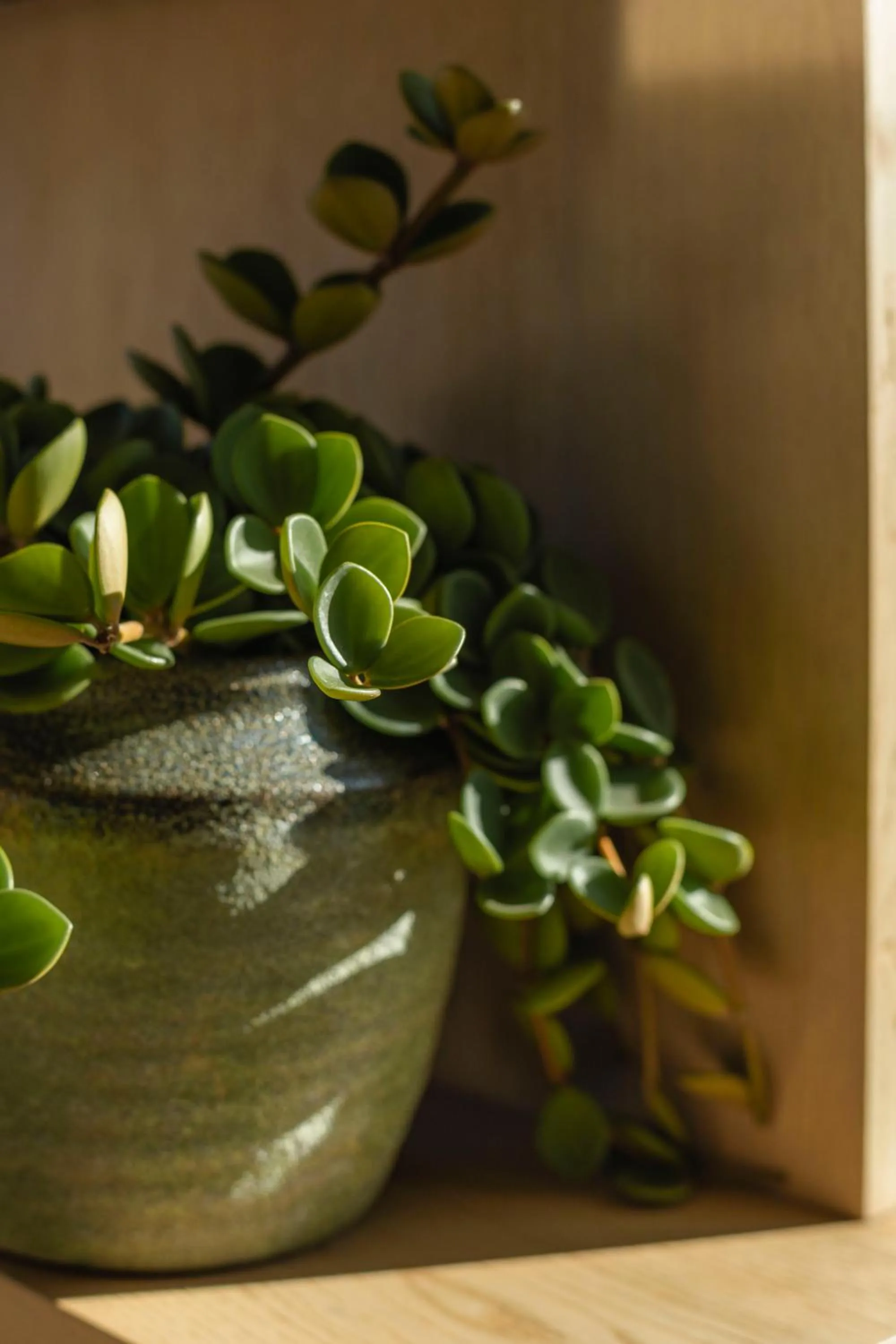 Decorative detail in 1 Hotel Seattle