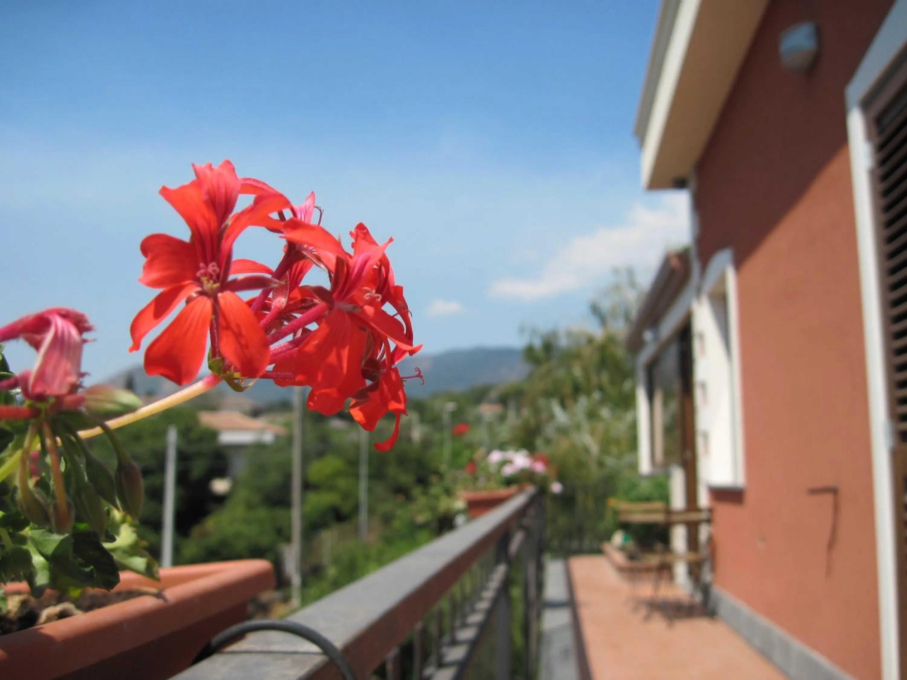 Balcony/Terrace in Anthea Dell' Etna