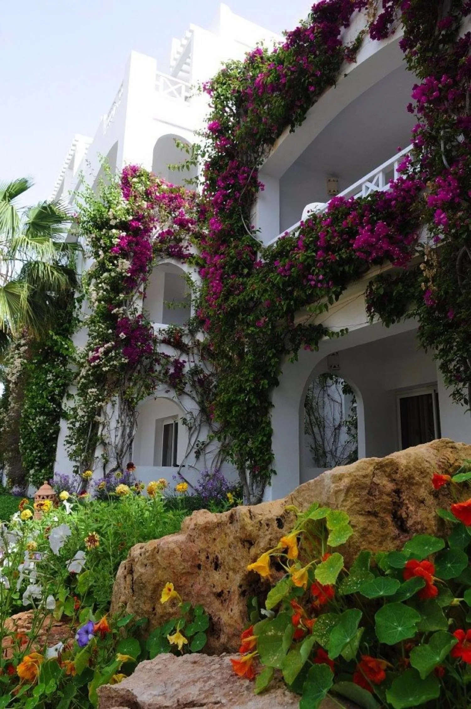 Garden view in Djerba Resort- Families and Couples Only