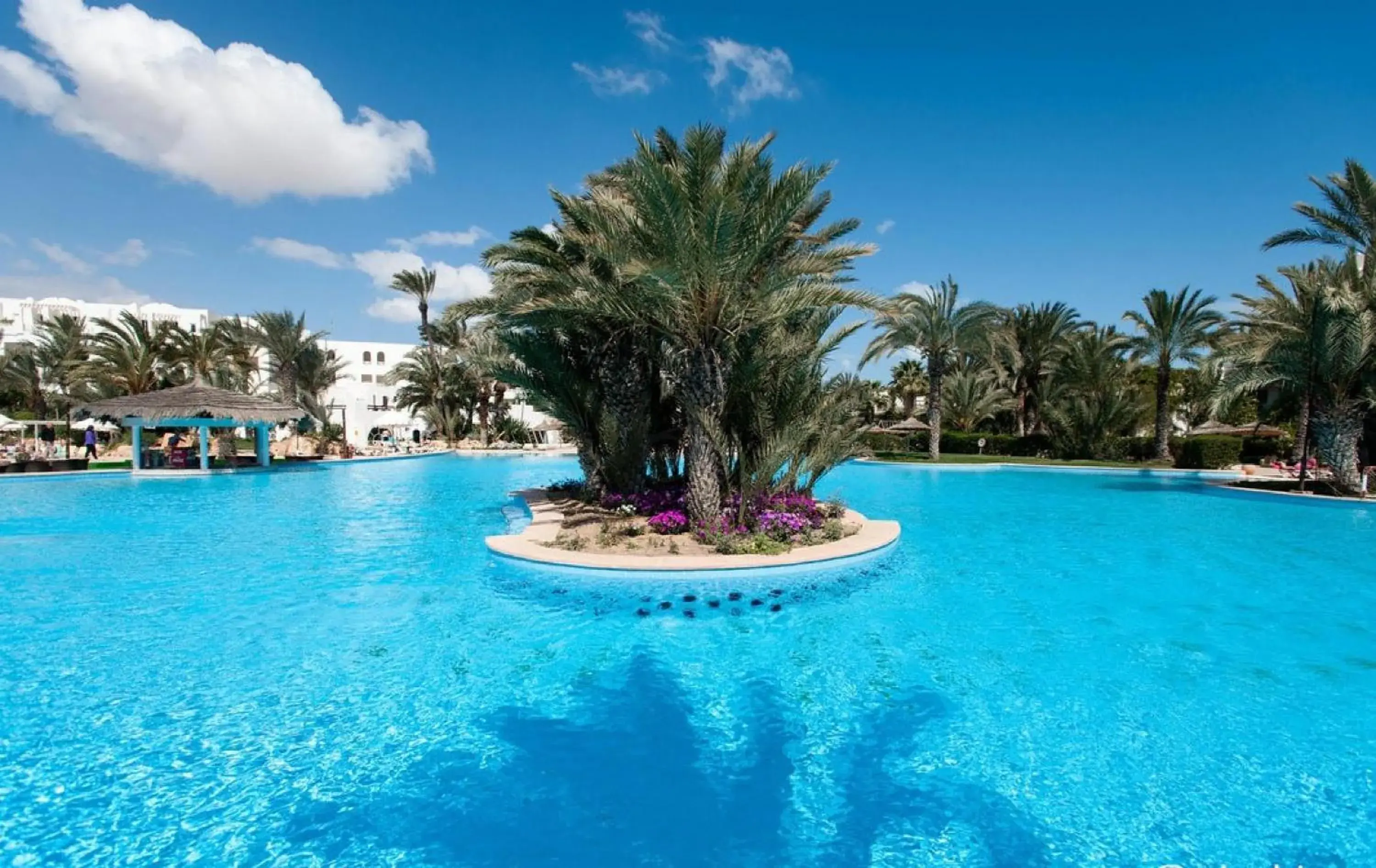 Swimming pool in Djerba Resort- Families and Couples Only Swimming pool in Djerba Resort- Families and Couples Only