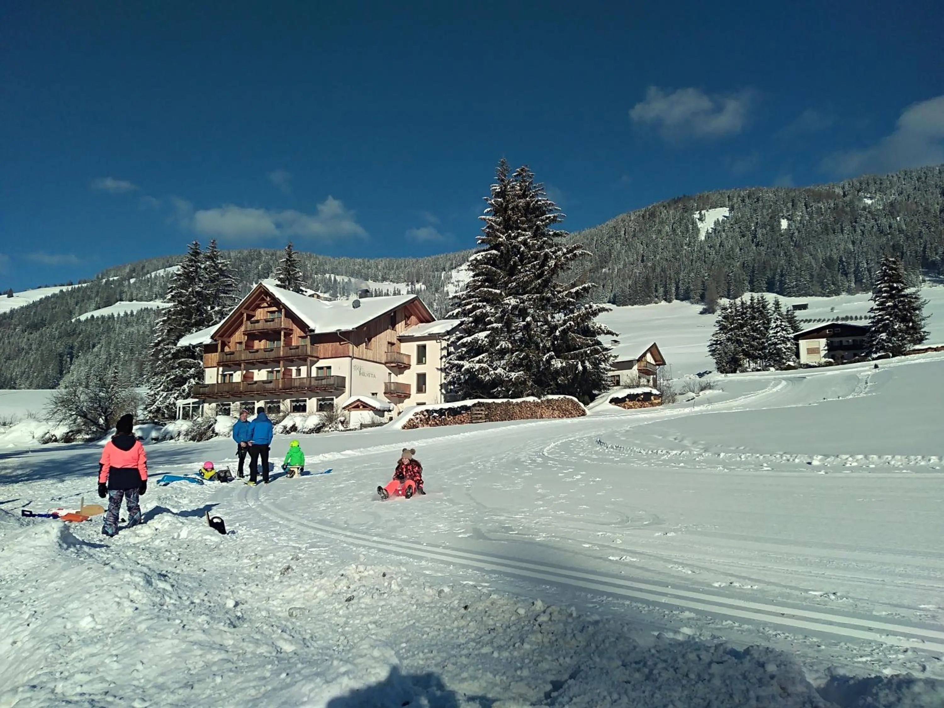 Natural landscape in Garni Appartments Helvetia