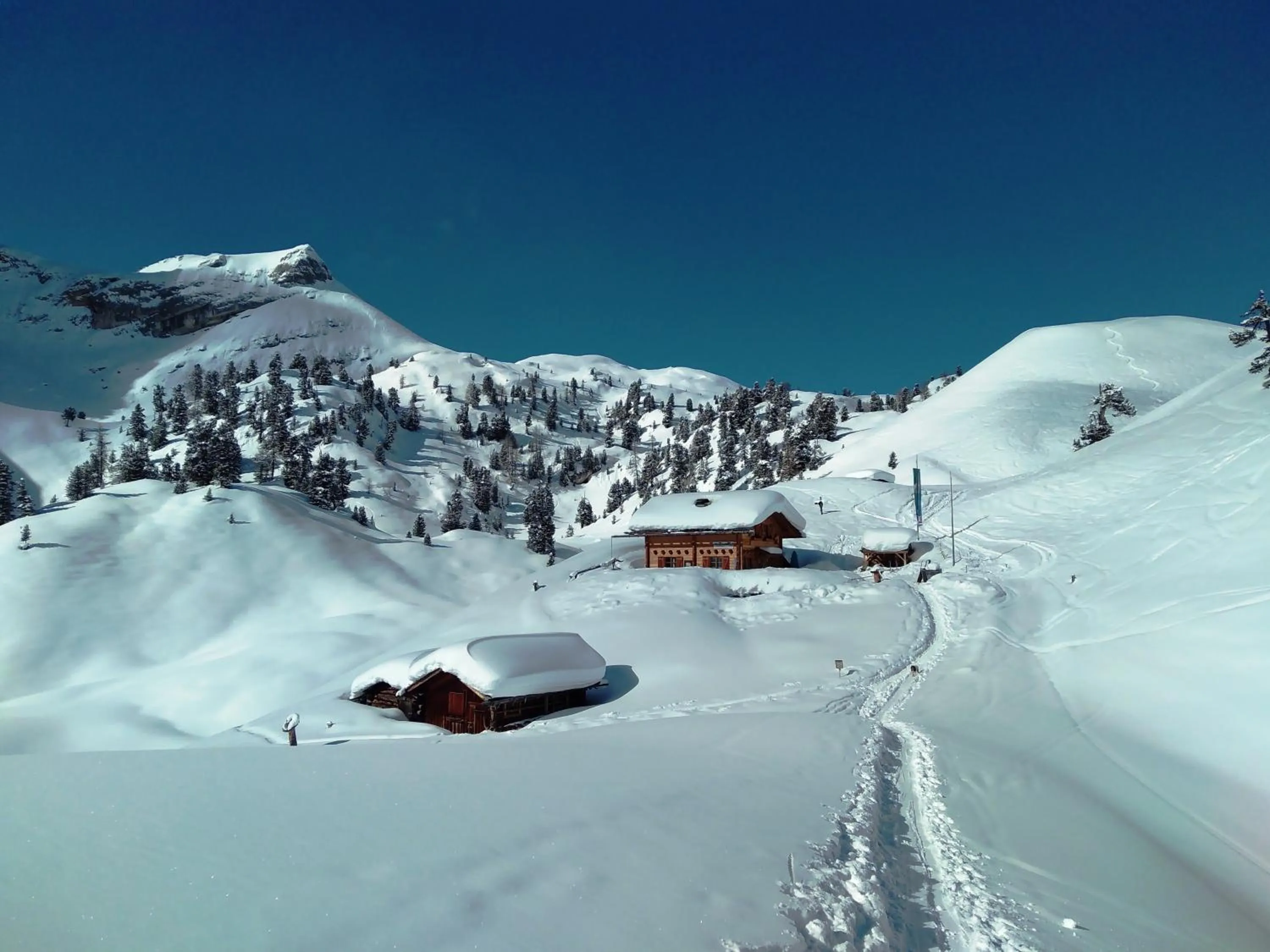 Skiing in Garni Appartments Helvetia