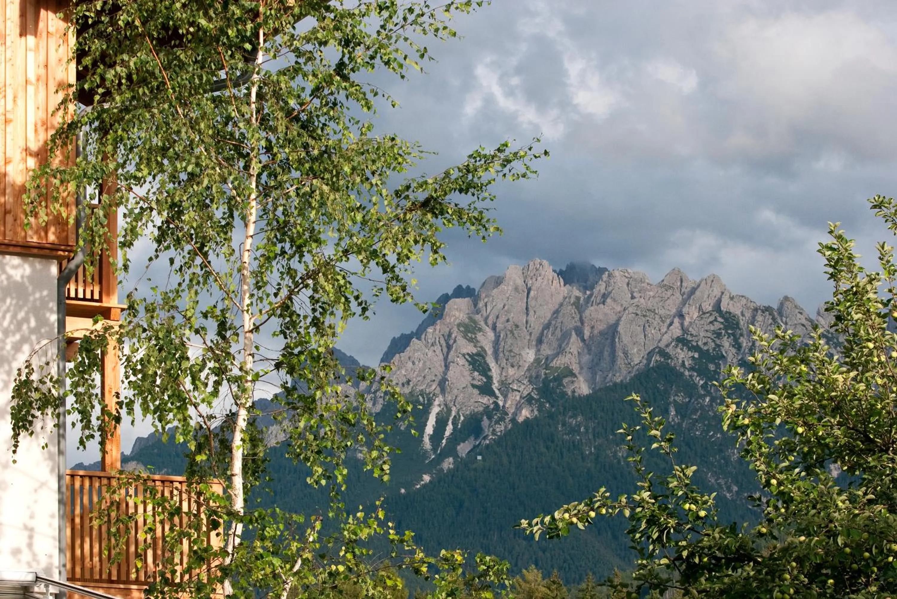 Mountain view in Garni Appartments Helvetia