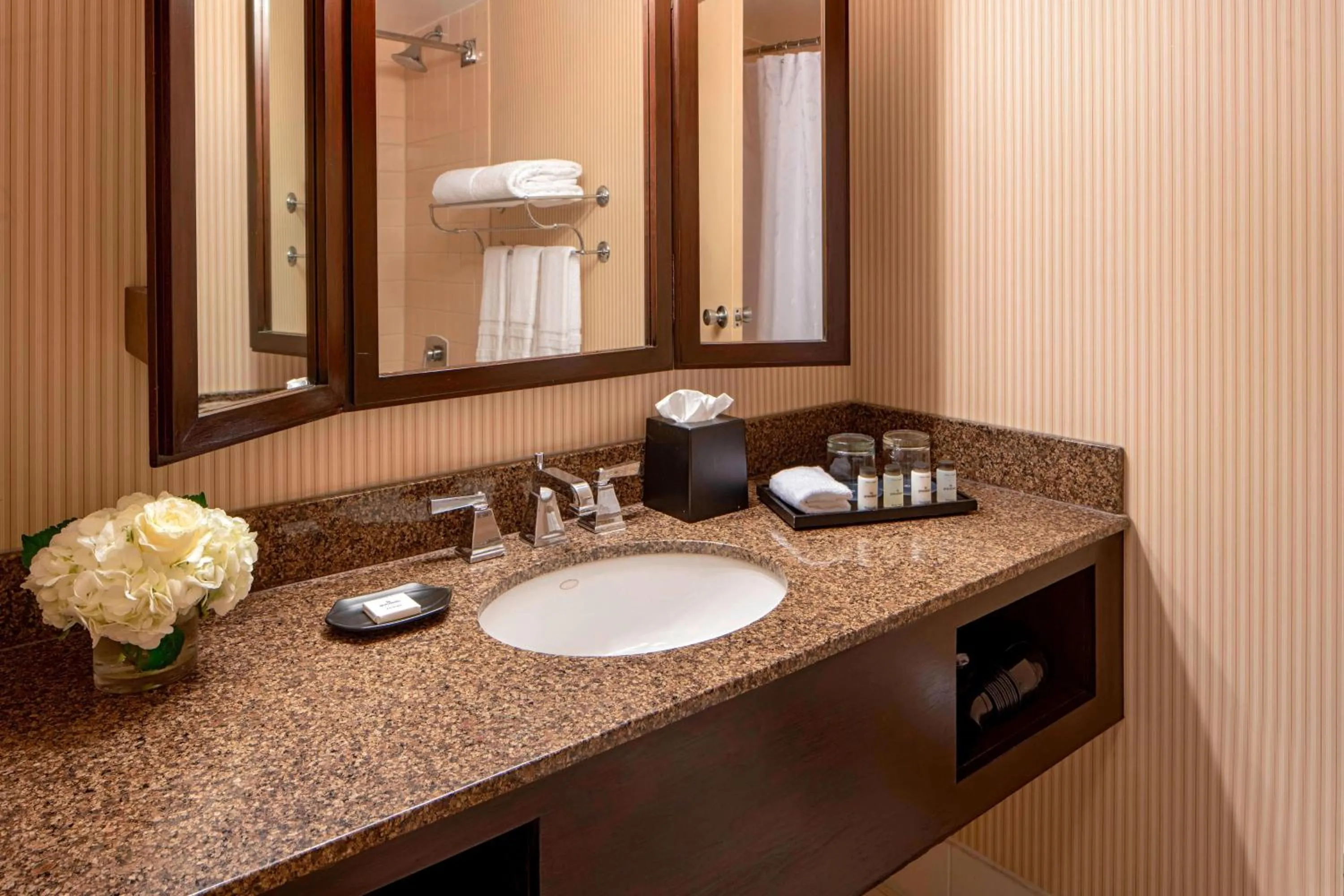 Bathroom in Sheraton Houston Brookhollow Hotel