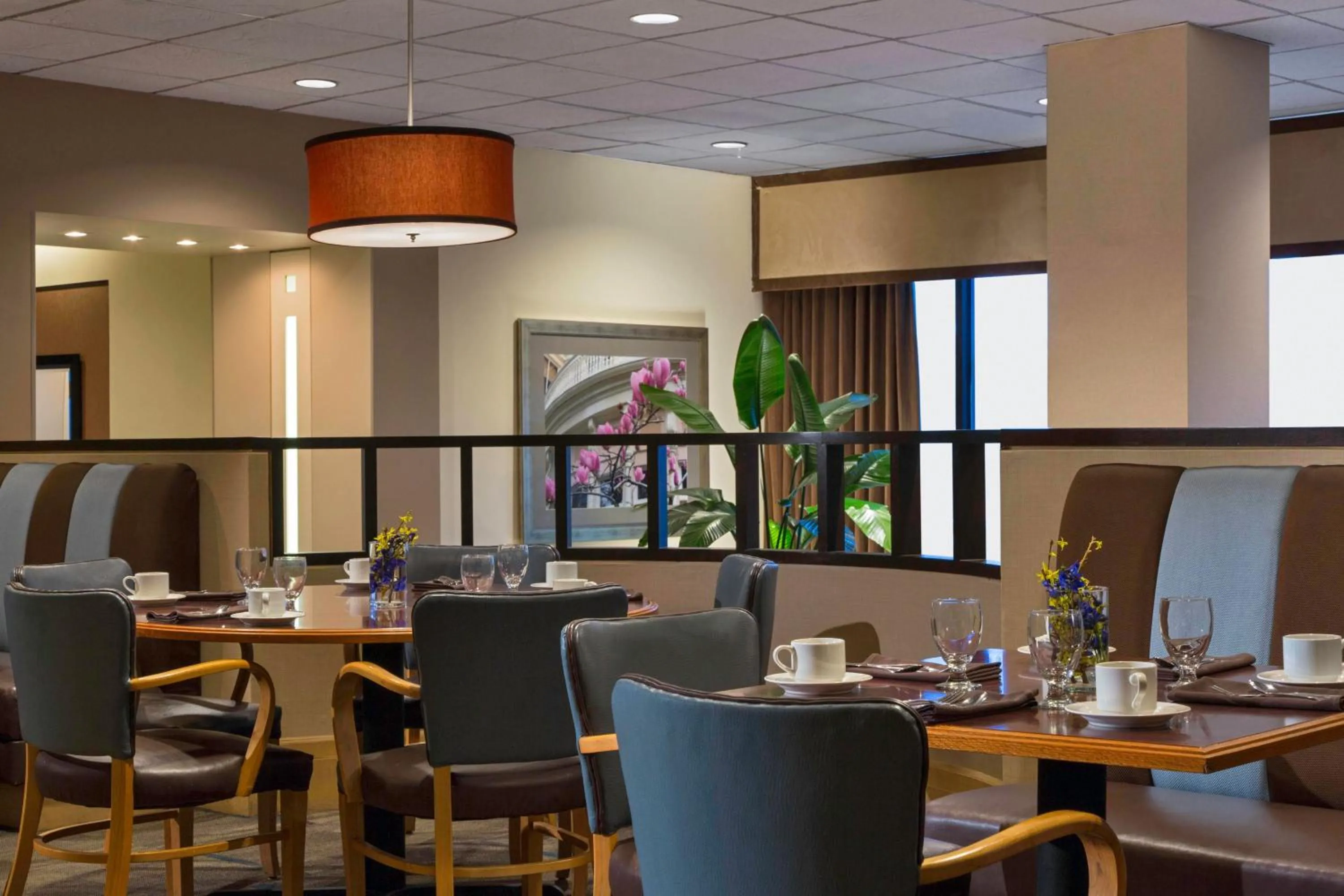 Restaurant/places to eat in Sheraton Houston Brookhollow Hotel