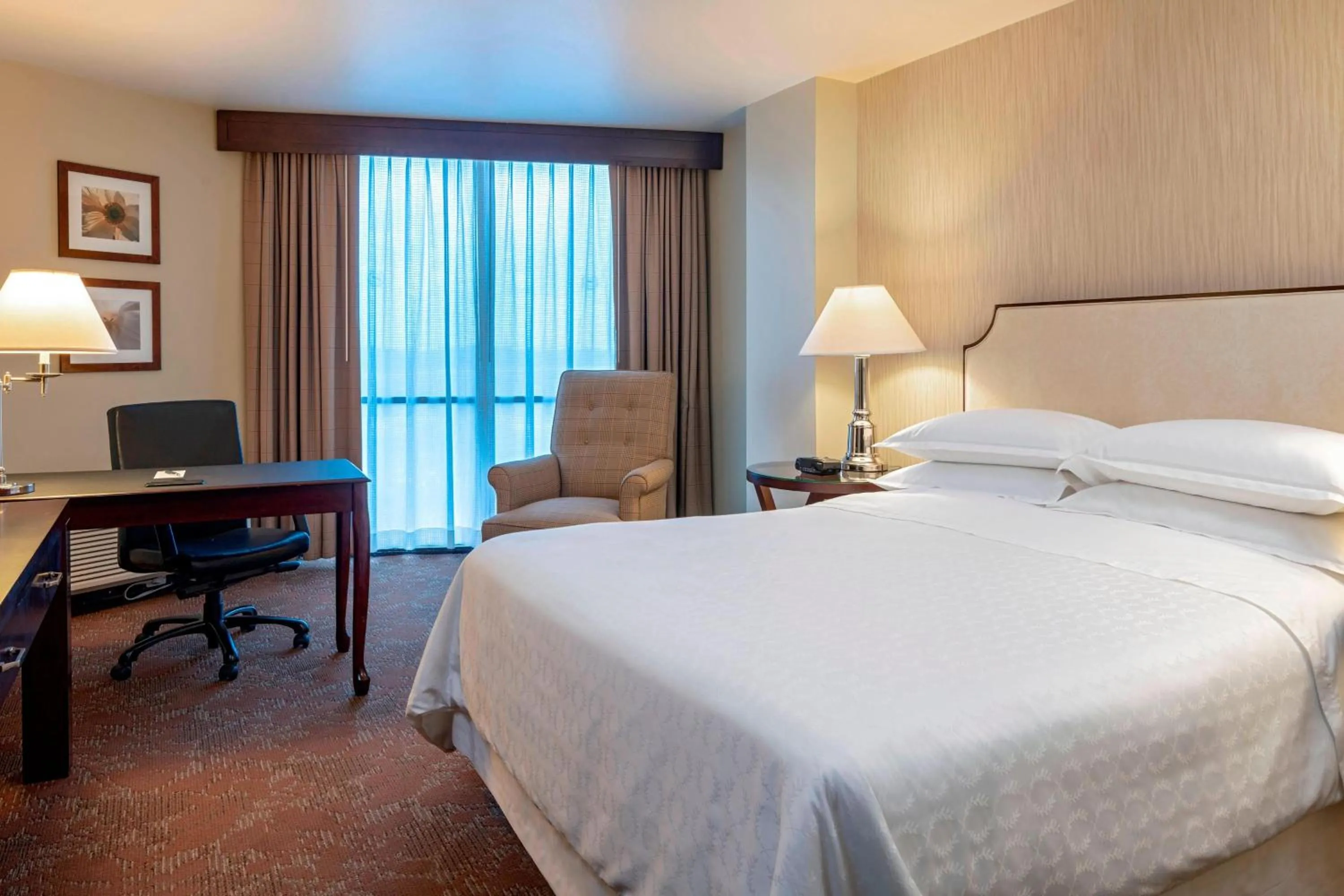 Photo of the whole room, Bed in Sheraton Houston Brookhollow Hotel