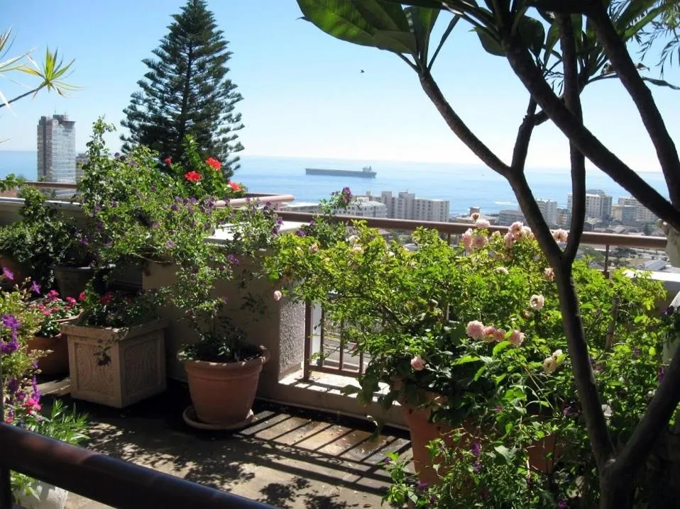 123 Ocean View Drive Apartment