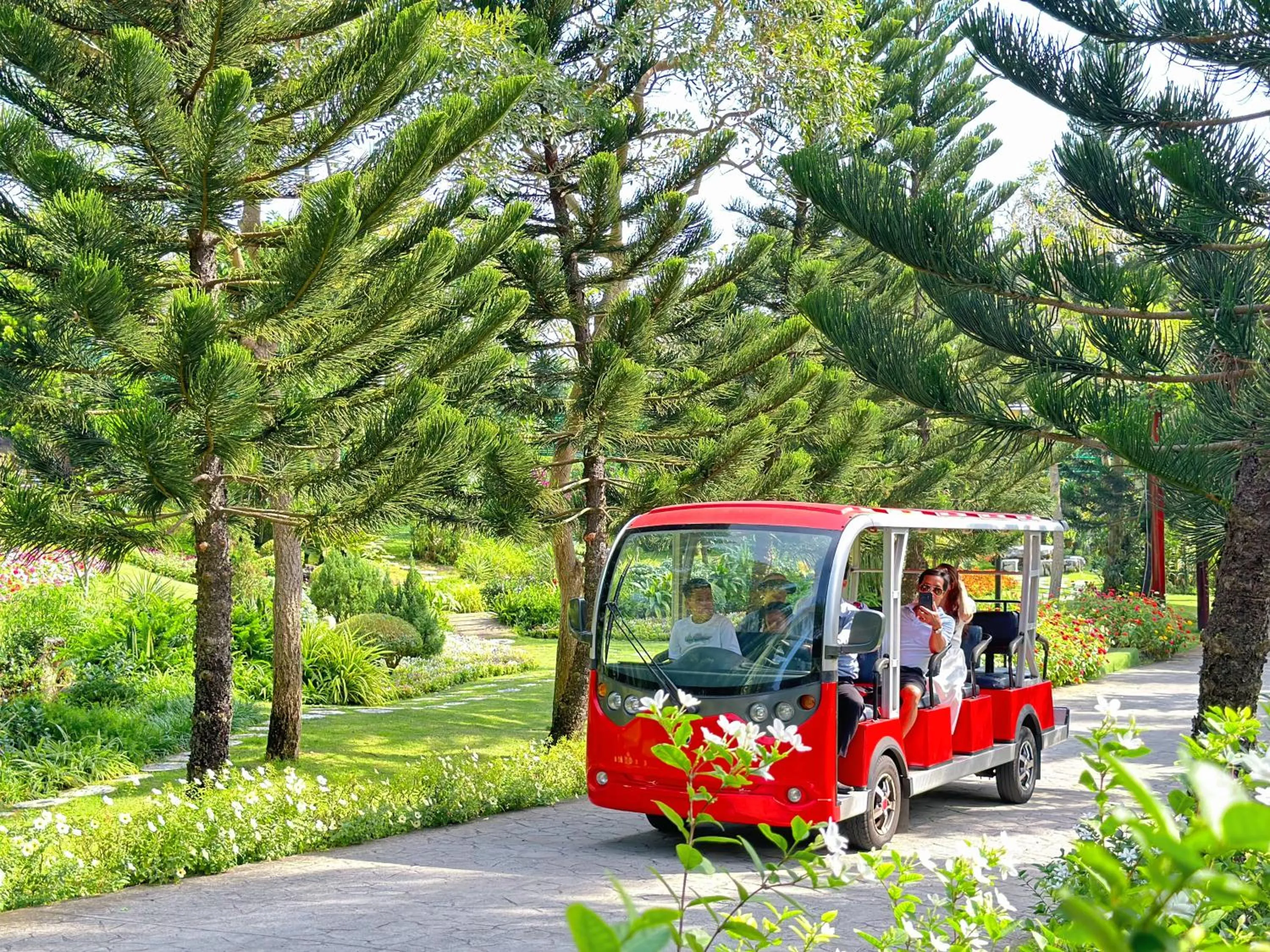 Natural landscape in Carmelina Beach Resort Ho Tram