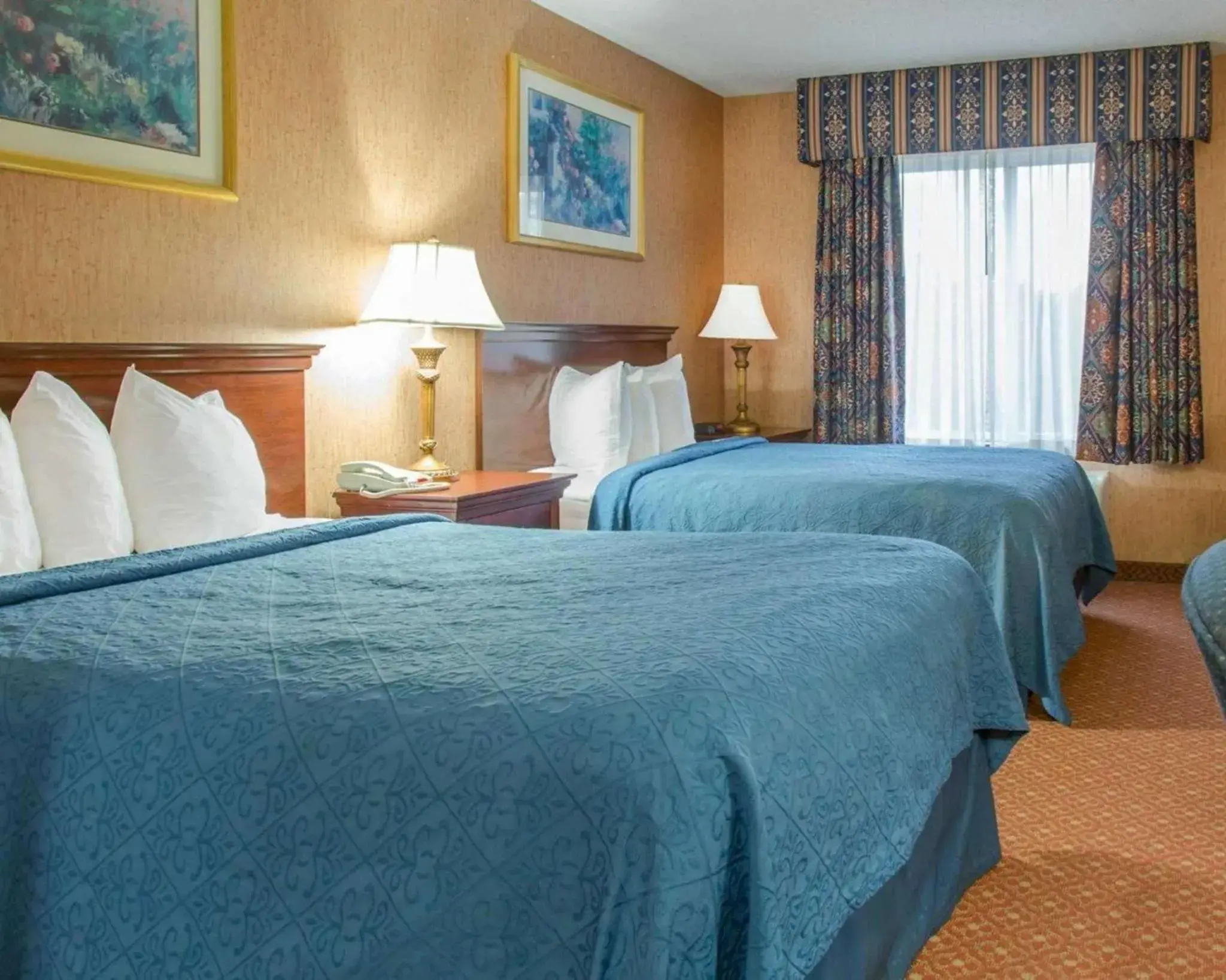 Photo of the whole room, Bed in Quality Inn & Suites Photo of the whole room, Bed in Quality Inn & Suites