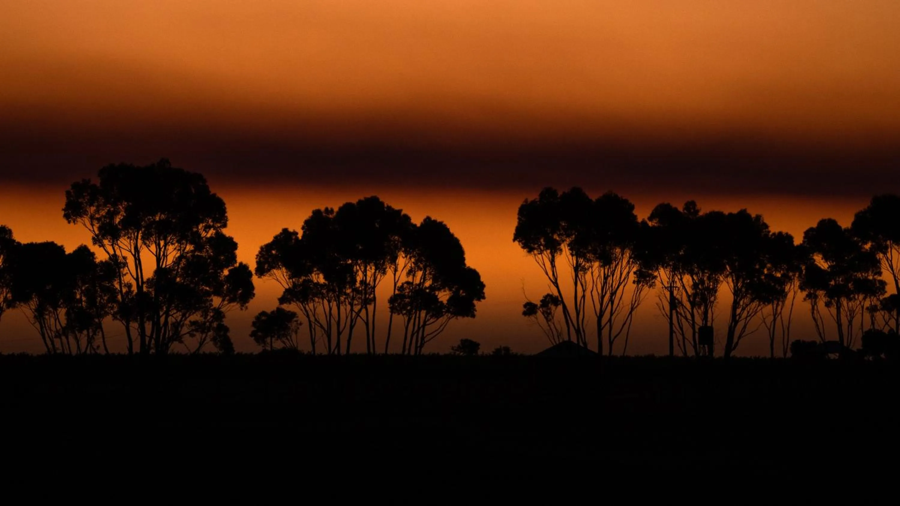 Natural landscape in Hotel California Road at Inkwell Wines