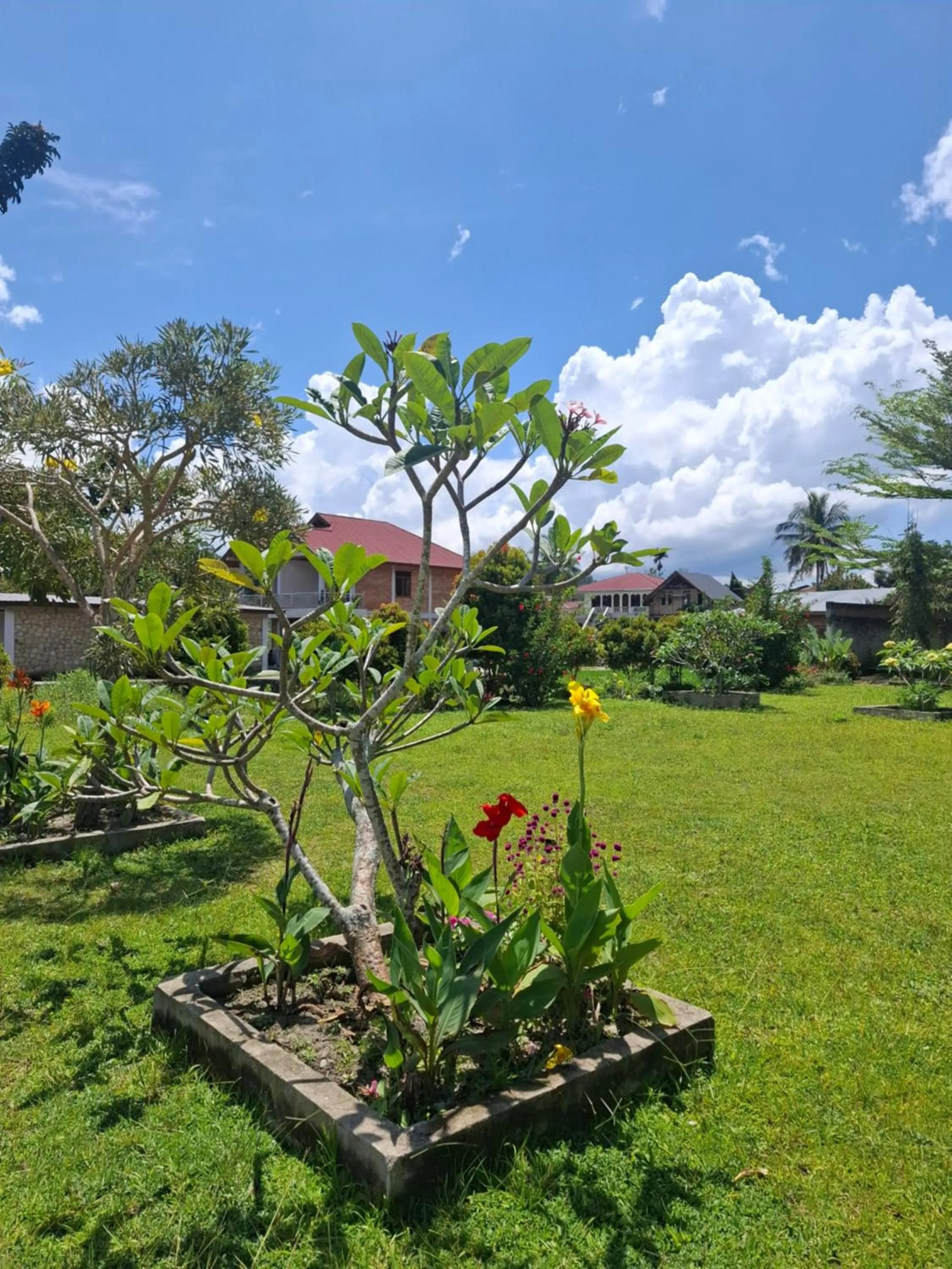 Natural landscape in Juma cottages
