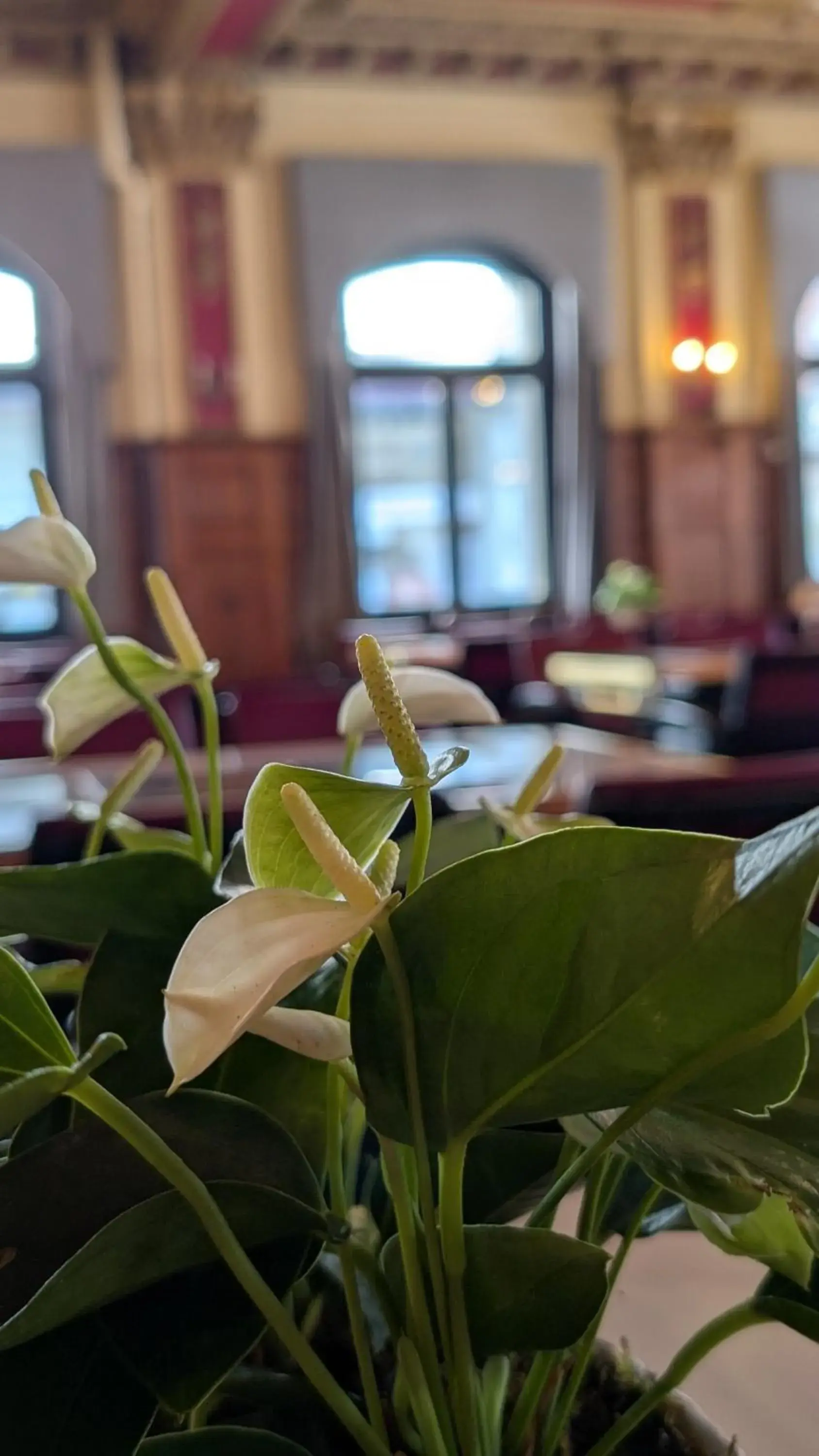 Breakfast in Hotel Harder Minerva Breakfast in Hotel Harder Minerva