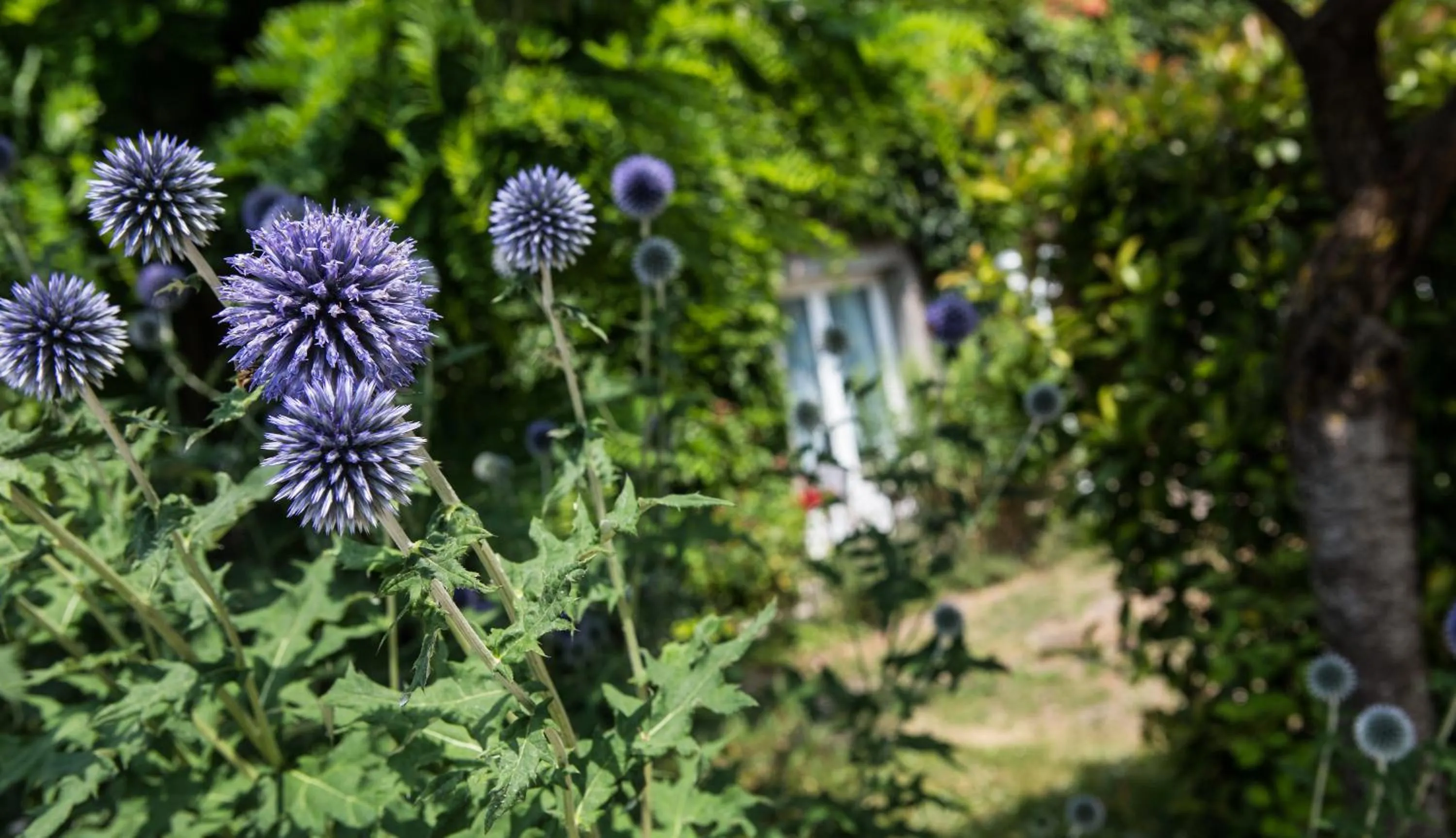 Spring in Hostellerie De Bretonnière - Groupe Logis Hotels