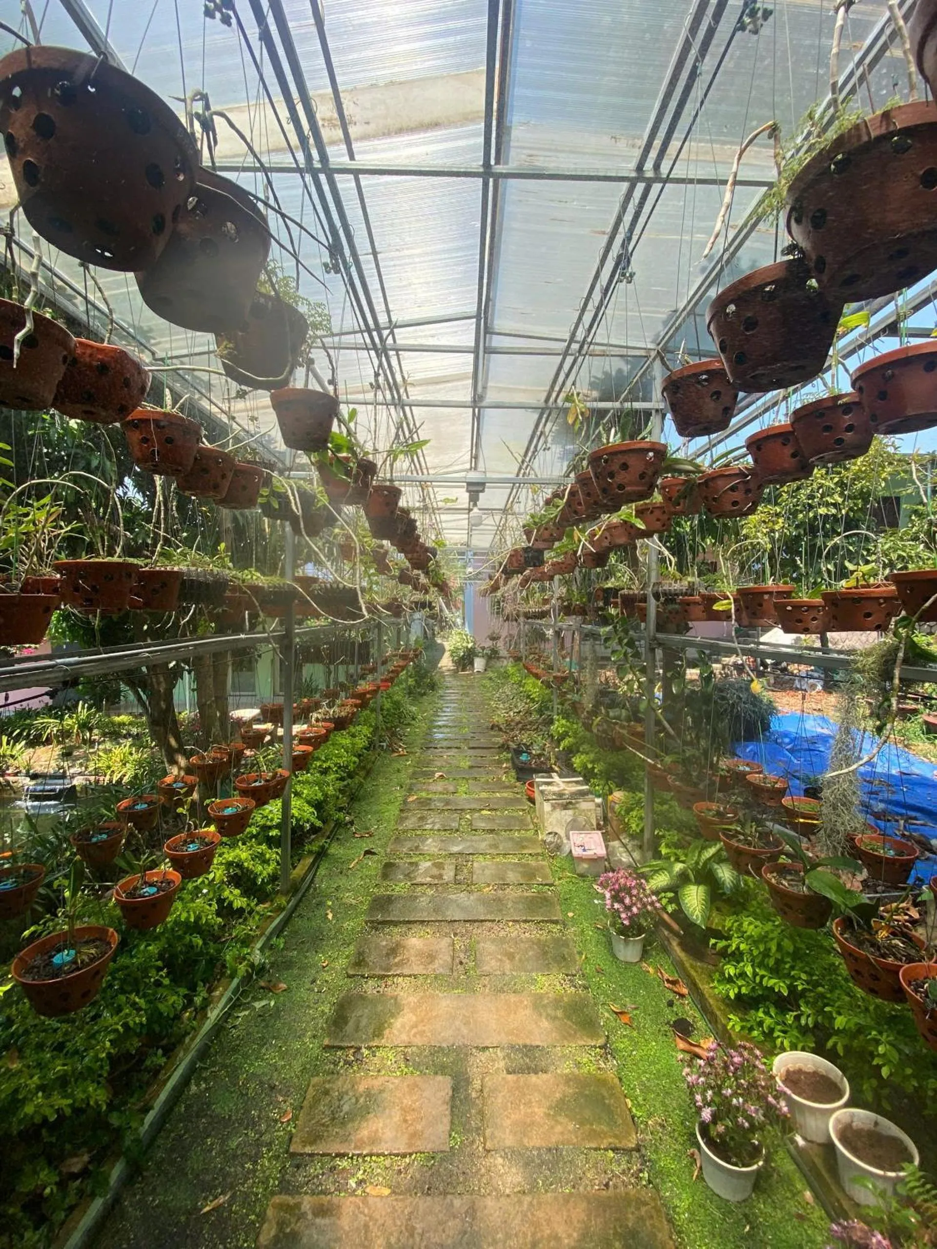 Property building in Nhà Nghỉ THẢO NGUYÊN XANH