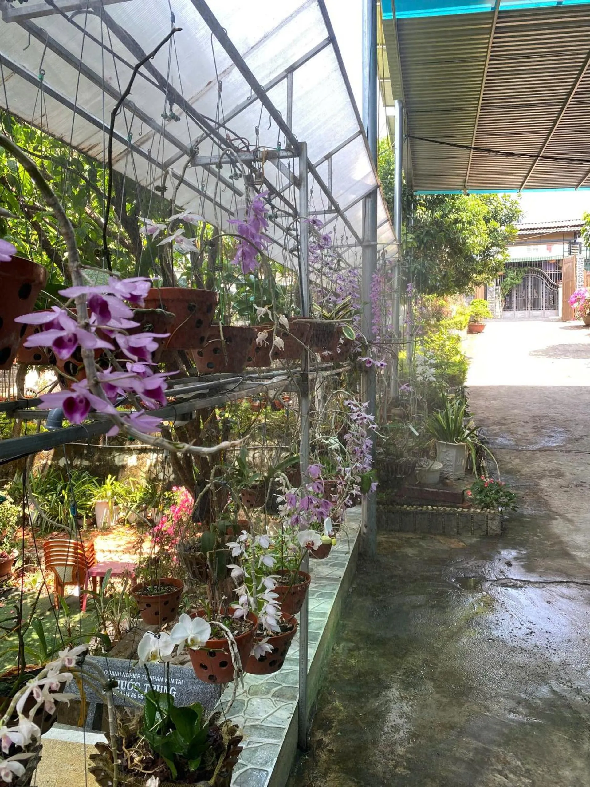 Spring in Nhà Nghỉ THẢO NGUYÊN XANH