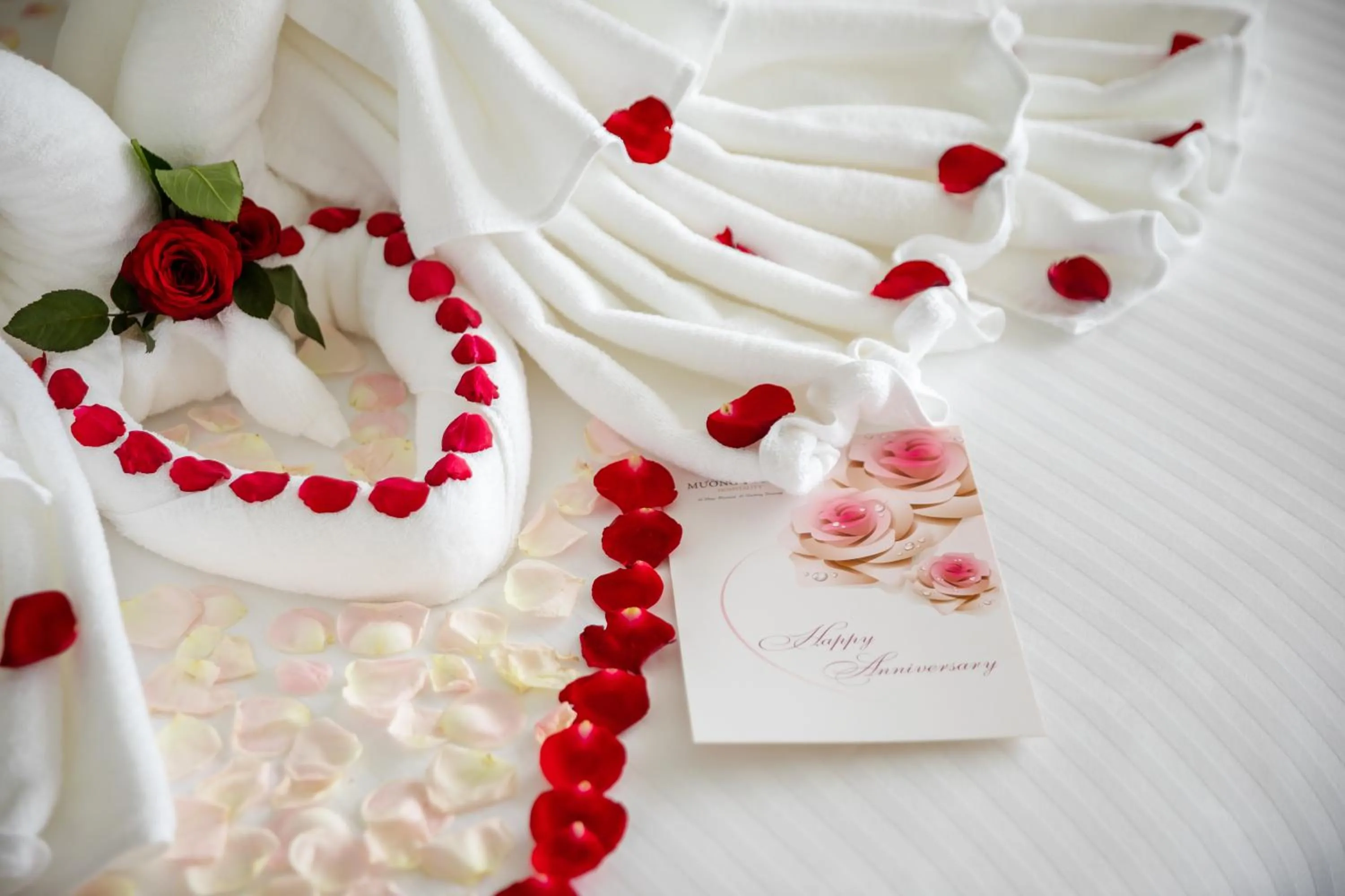 Muong Thanh Grand Bai Chay