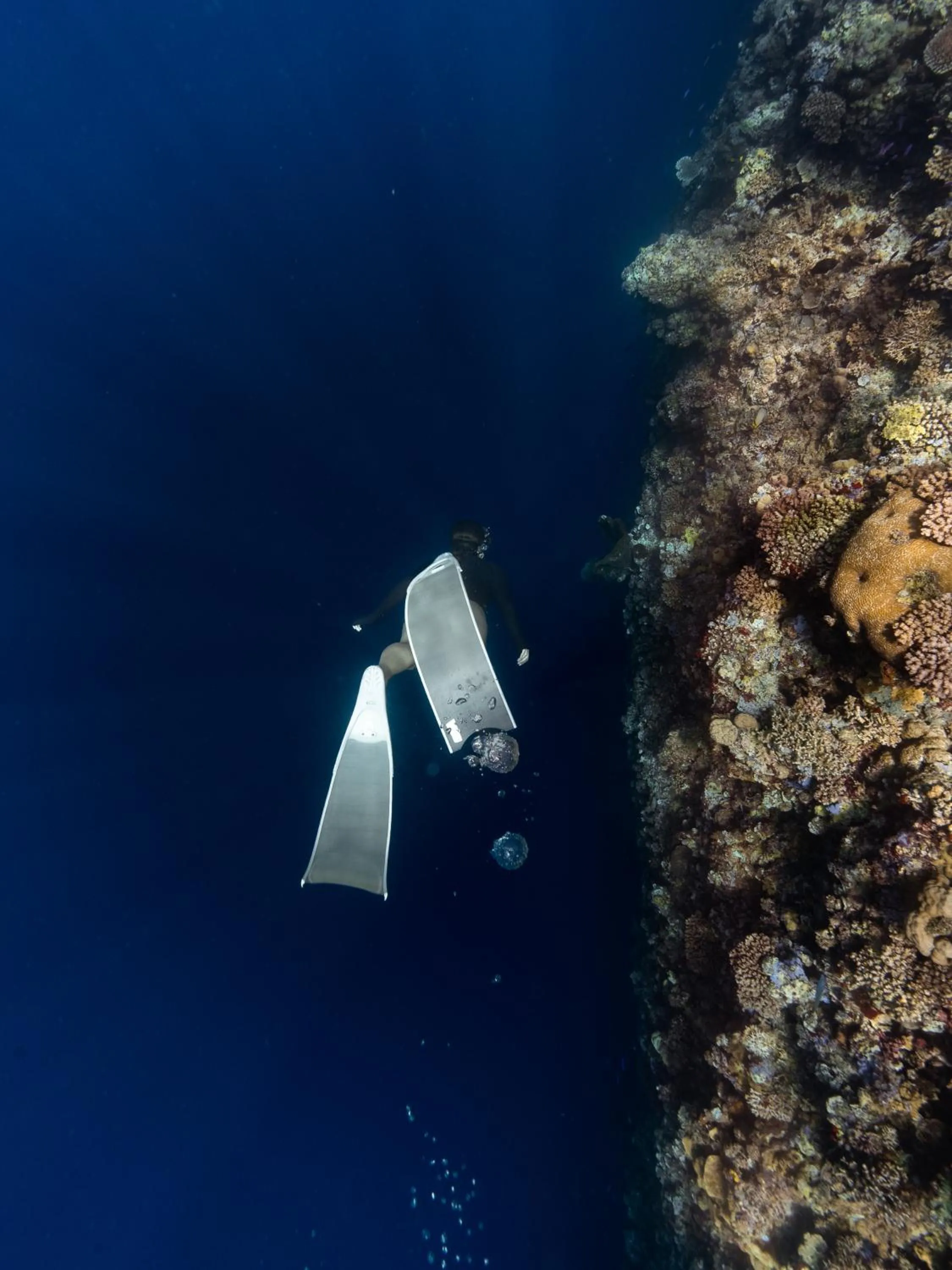 Reconnect - Private Island Resort & Dive Center Togean - Buka Buka Island