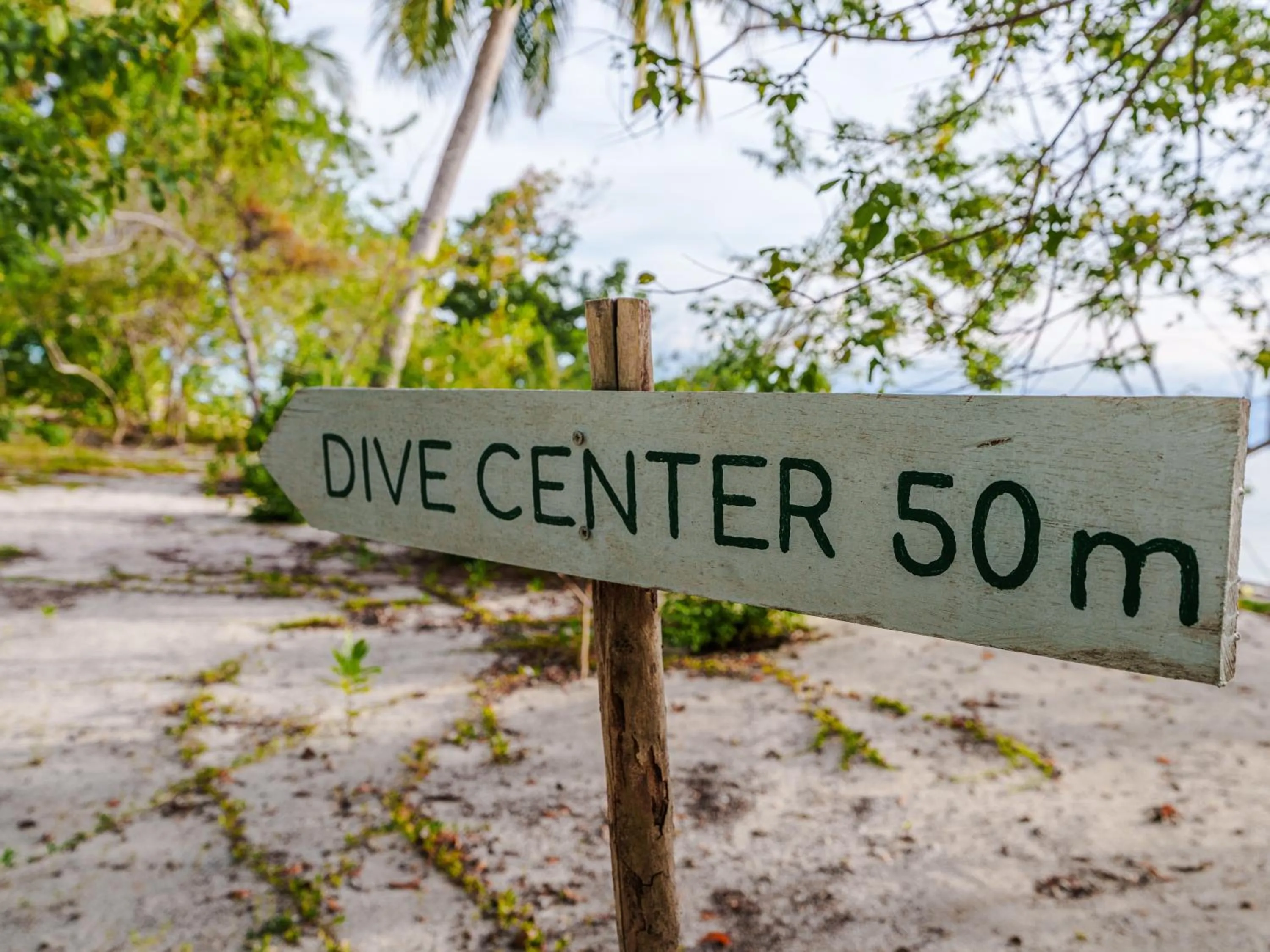 Reconnect - Private Island Resort & Dive Center Togean - Buka Buka Island