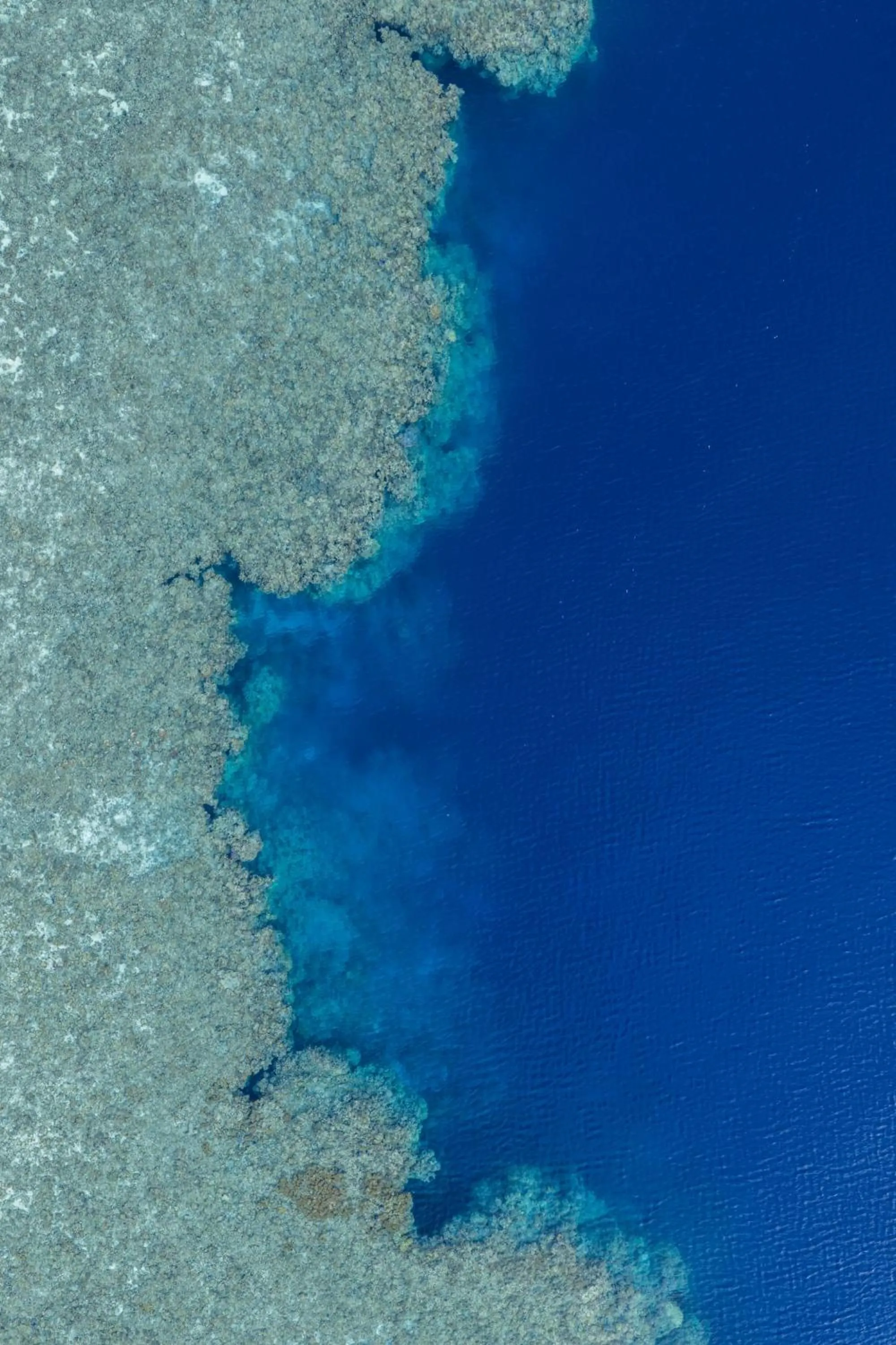 Reconnect - Private Island Resort & Dive Center Togean - Buka Buka Island