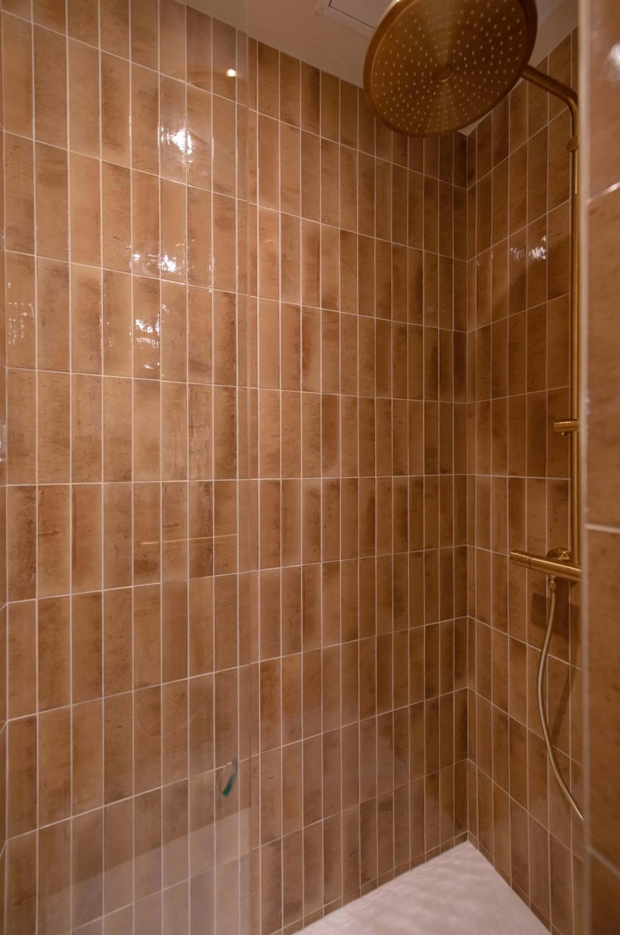 Shower in MiHotel Tour Rose