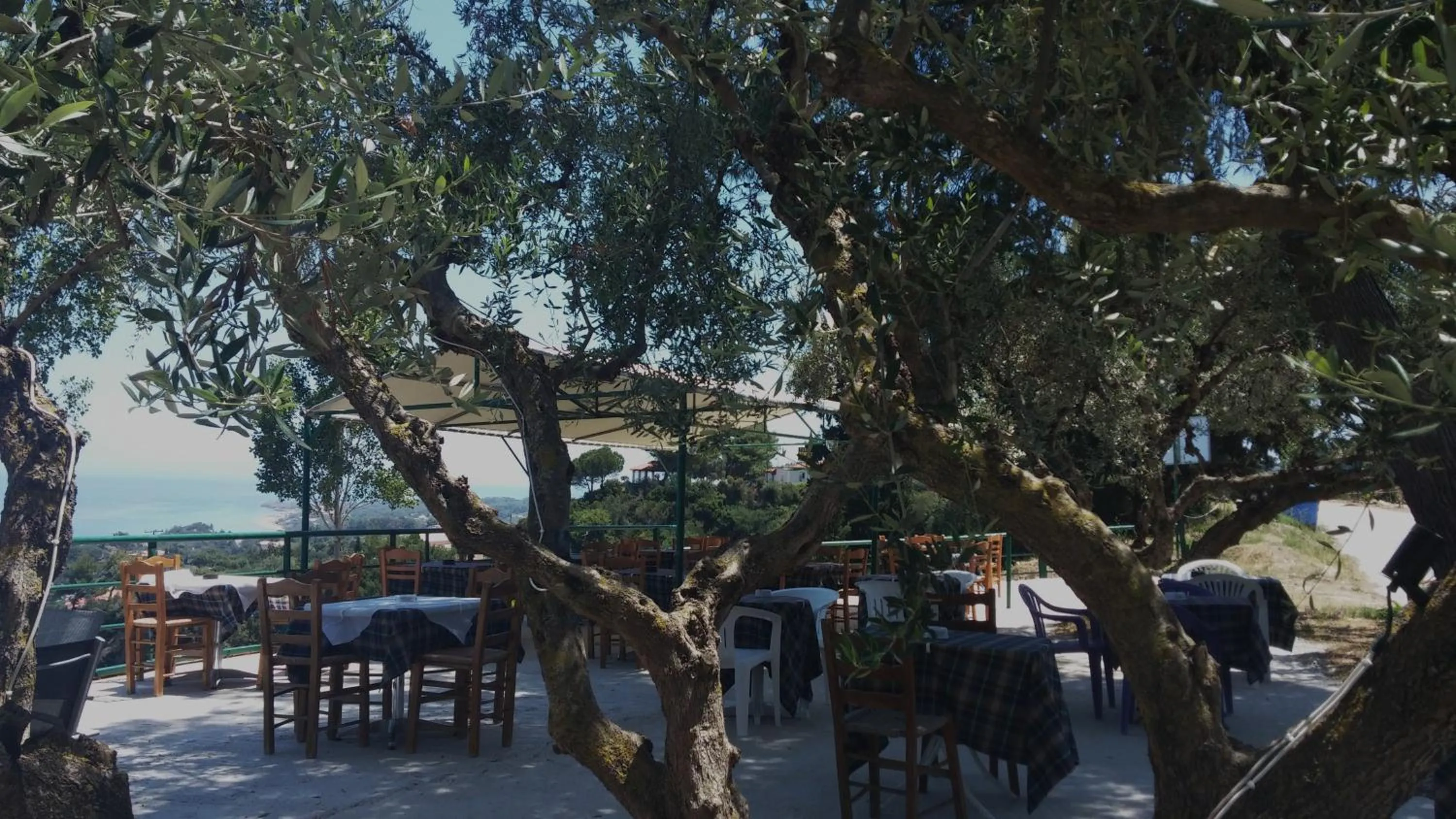 Restaurant/places to eat in Belvedere Zakynthos Studios