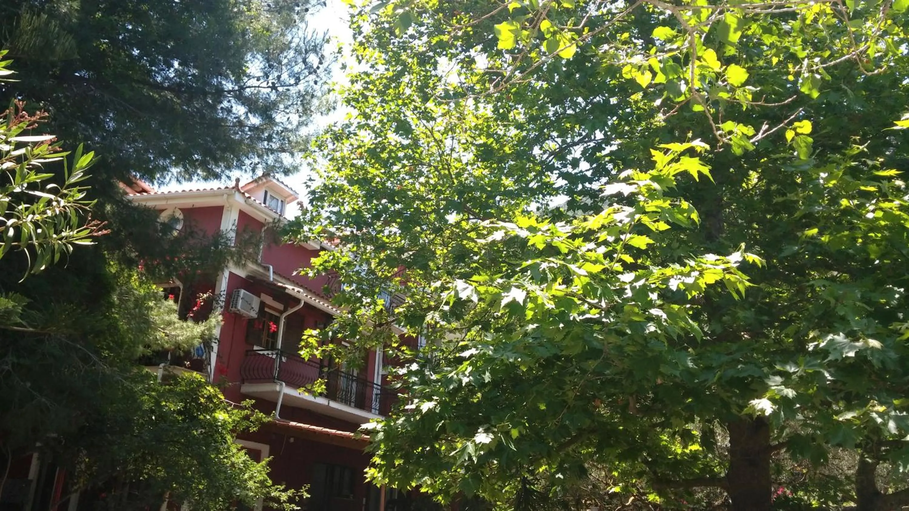 Garden in Belvedere Zakynthos Studios