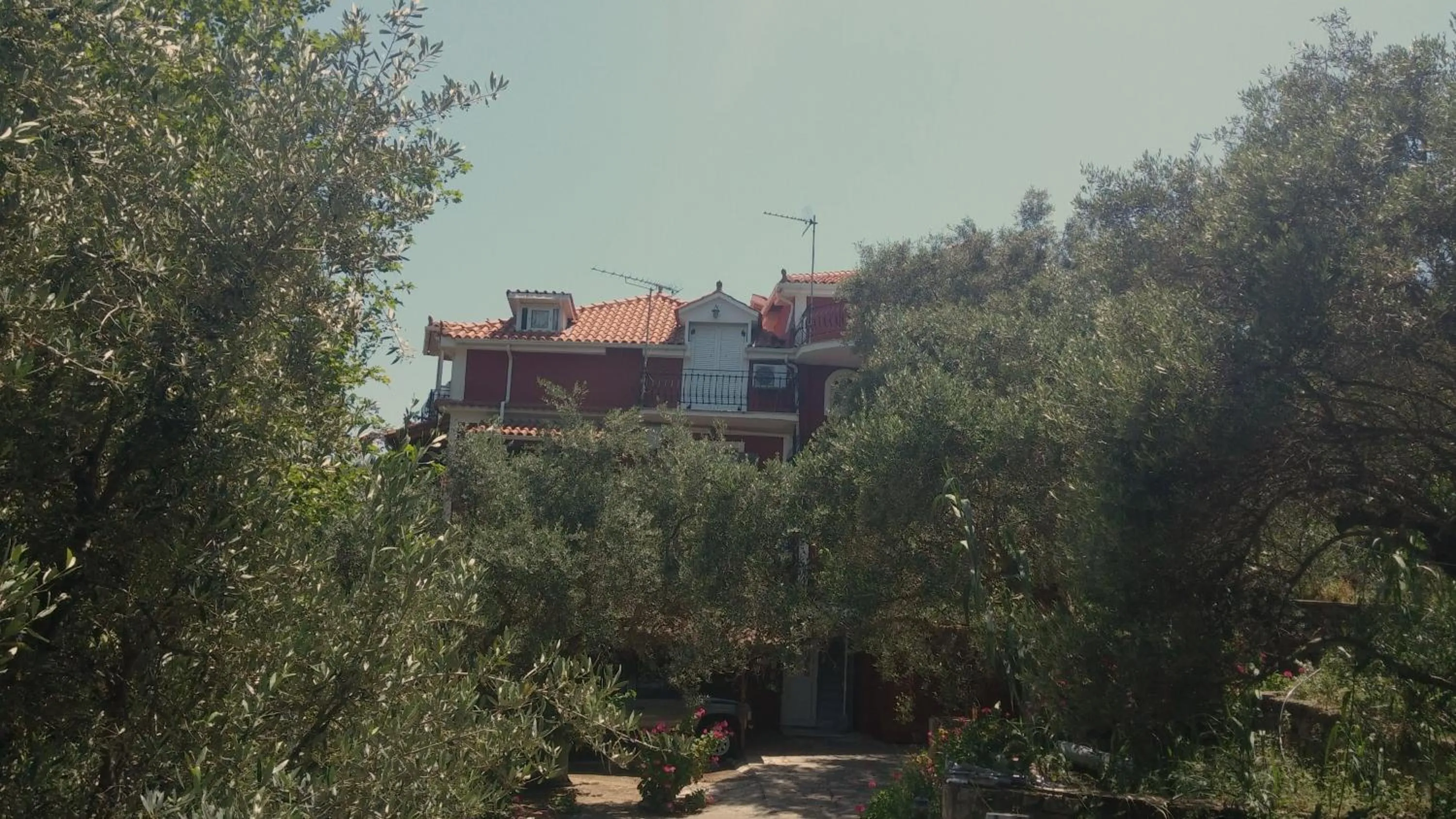 Garden in Belvedere Zakynthos Studios