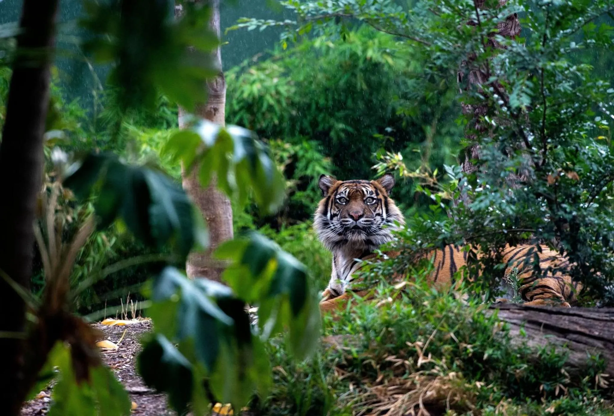 Area and facilities in Crowne Plaza Adelaide by IHG