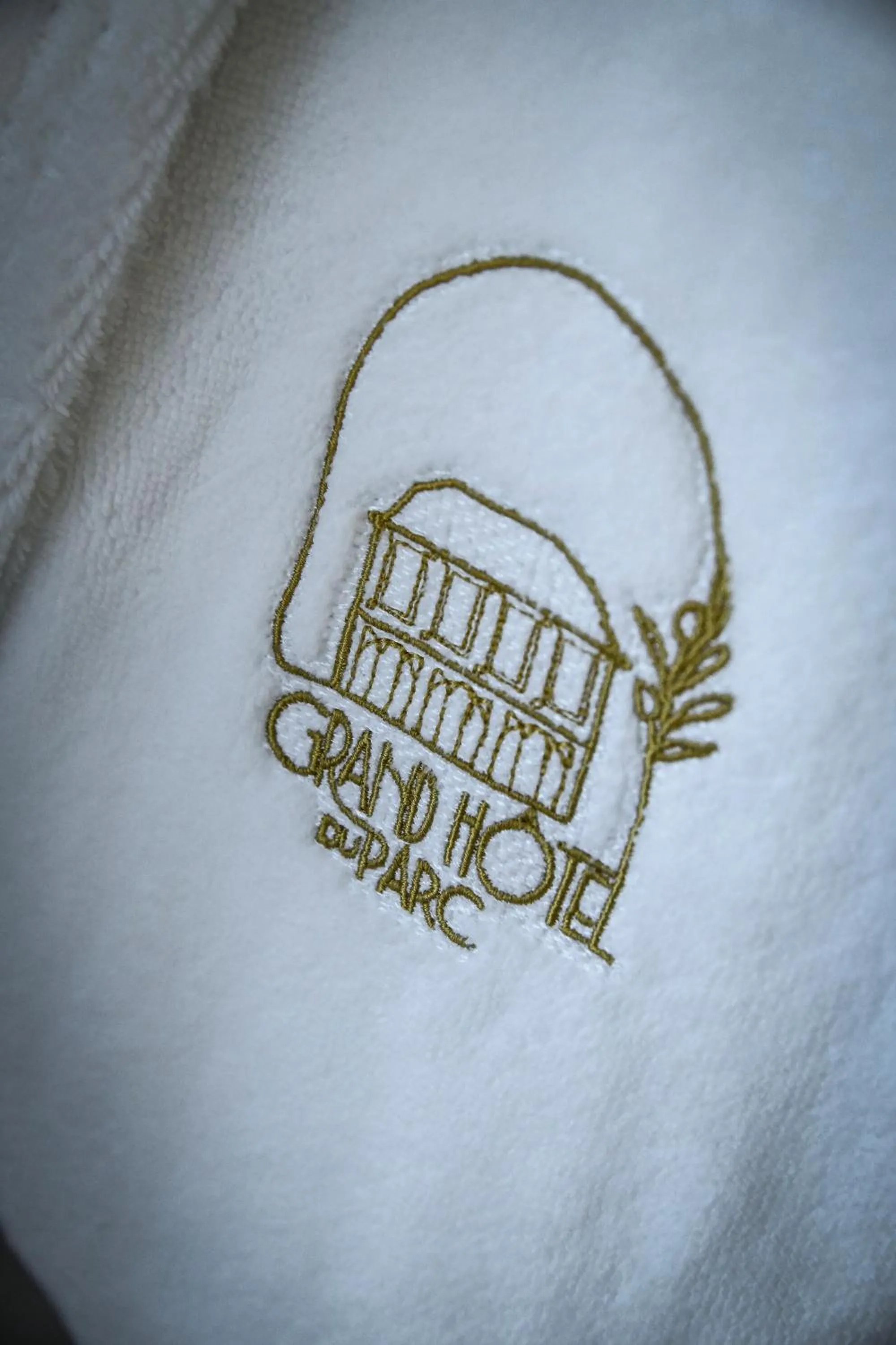 Decorative detail in Grand Hôtel Du Parc - Teritoria