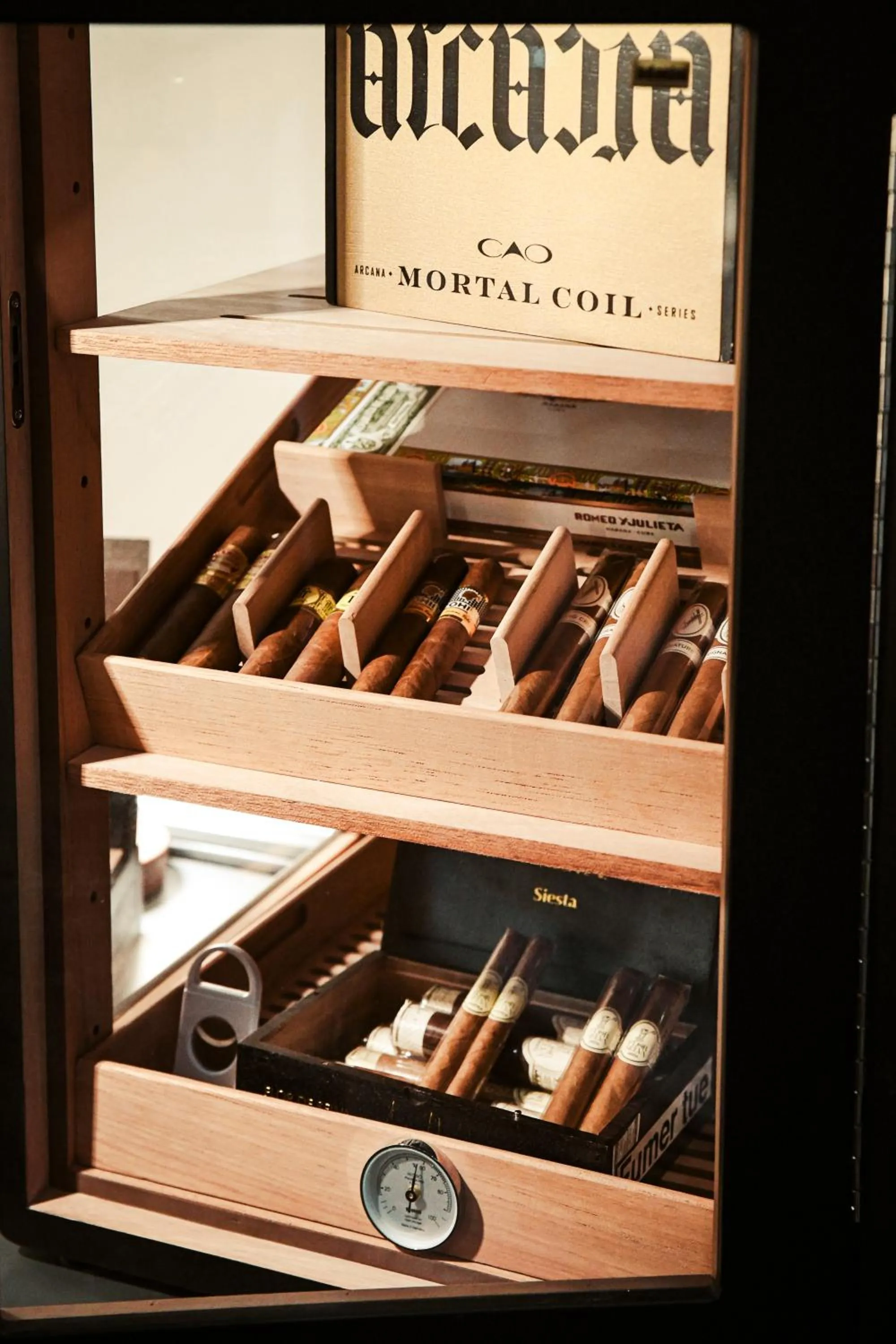 Lounge or bar in Grand Hôtel Du Parc - Teritoria