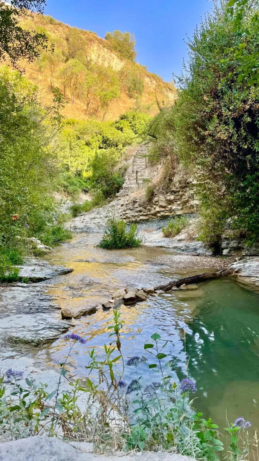Cortijo Molino los Justos