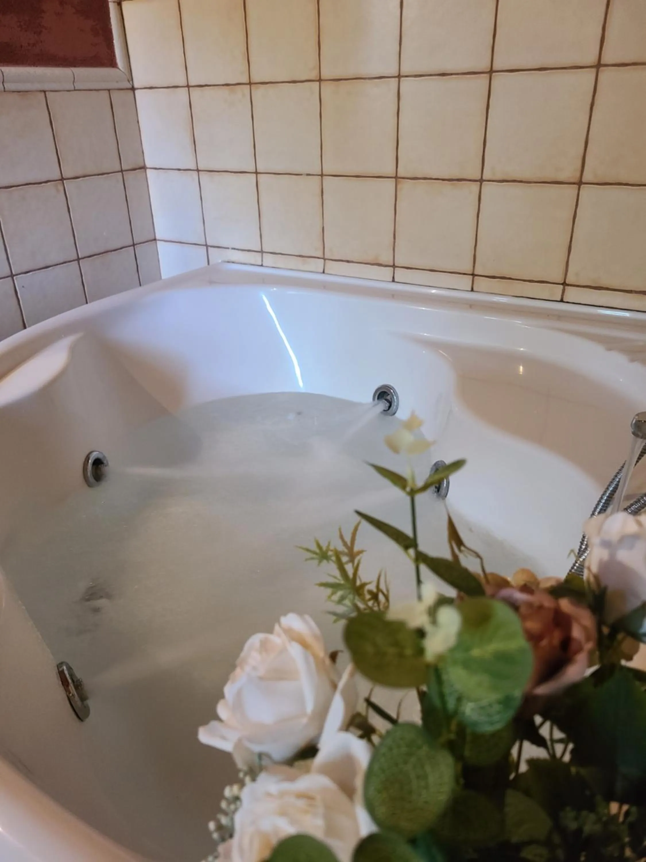 Cortijo Molino los Justos