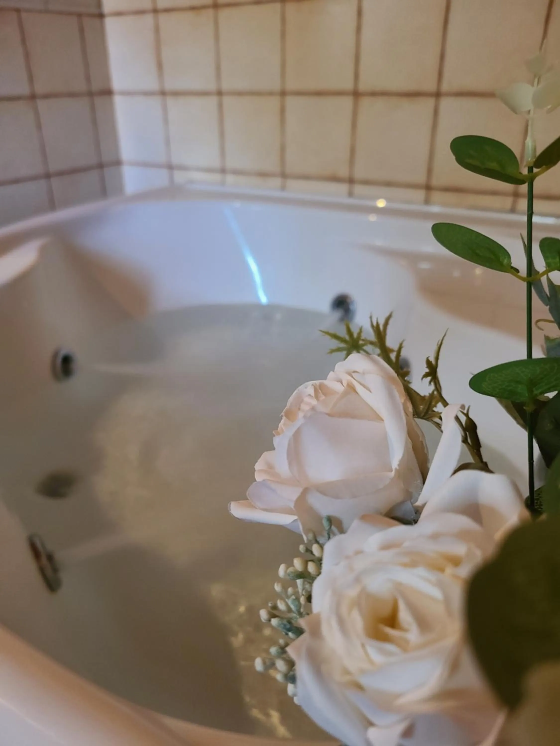 Cortijo Molino los Justos