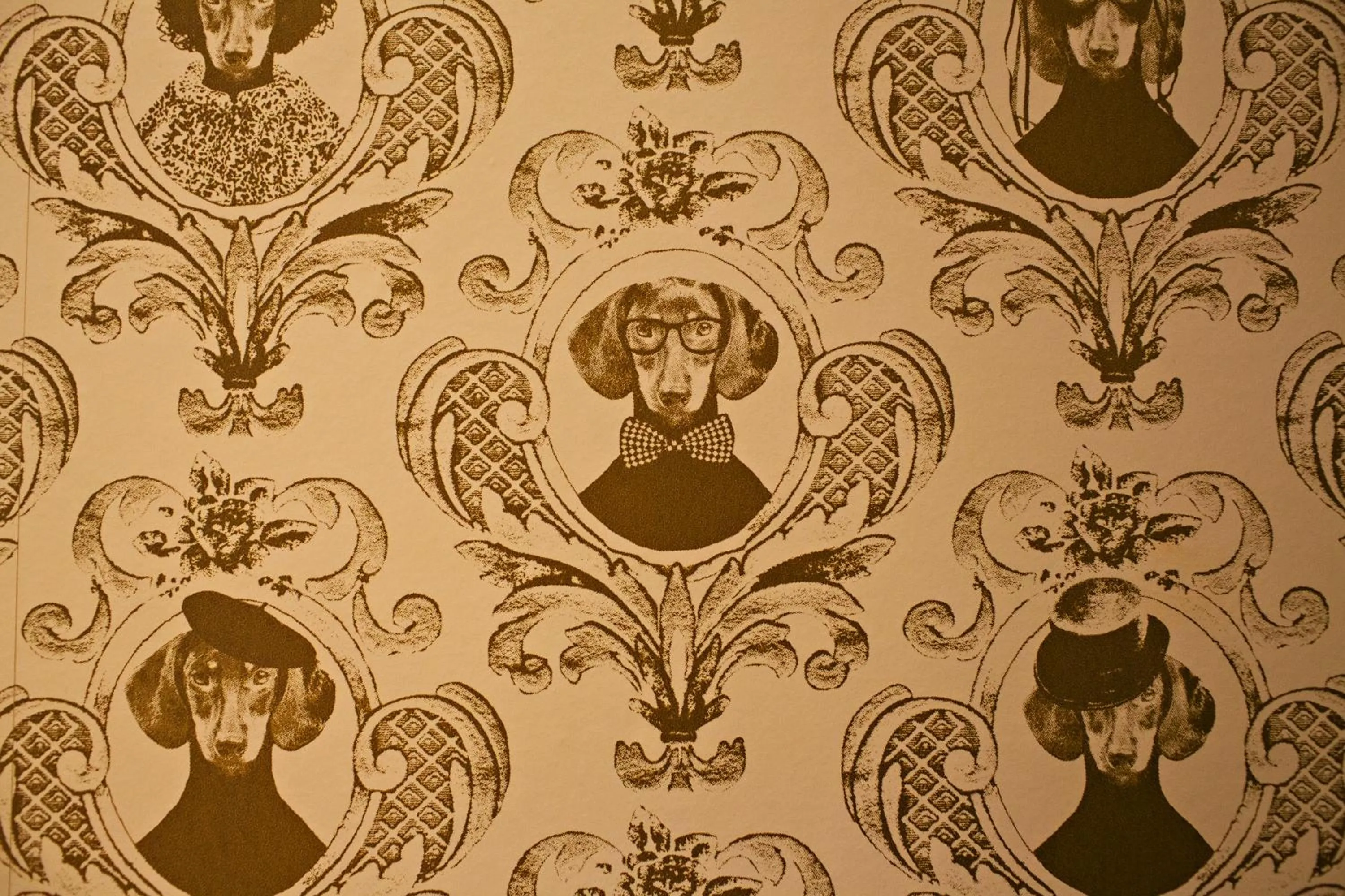 Lounge or bar in Houndgate Townhouse