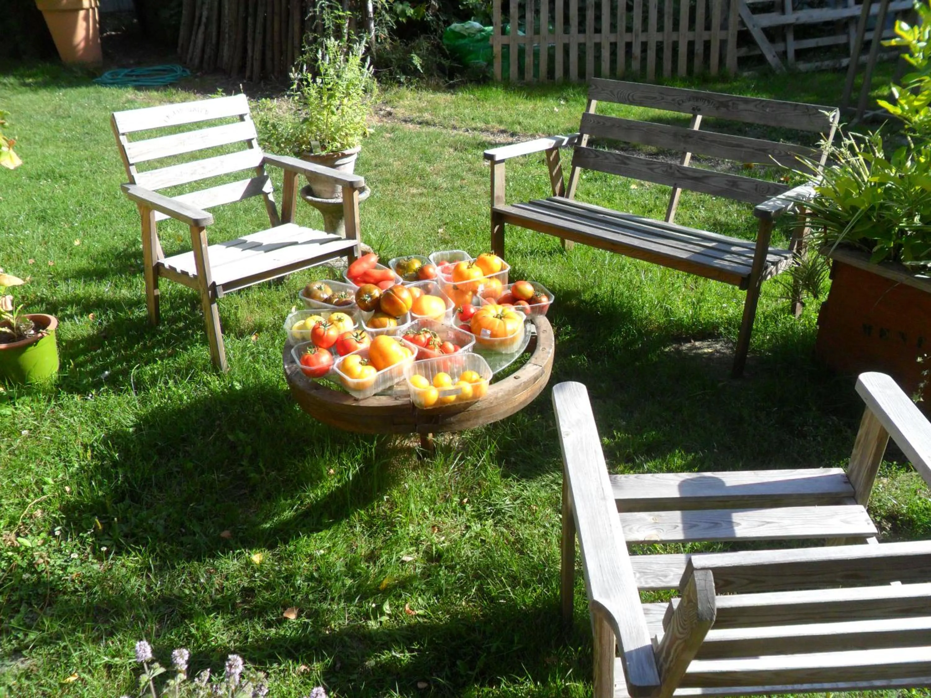 Garden in Chambres d'Hôtes La Turone
