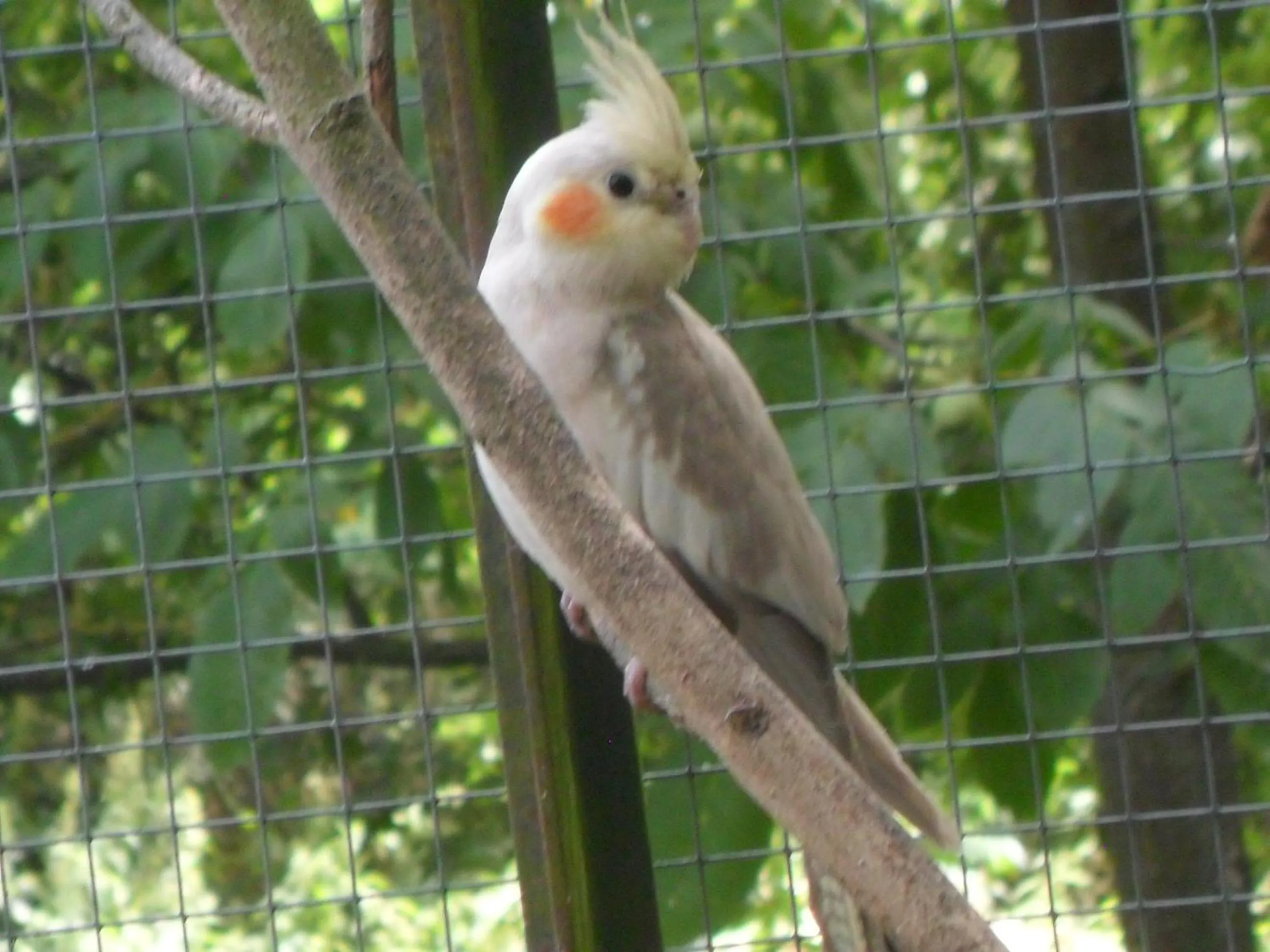 Animals in Chambres d'Hôtes La Turone