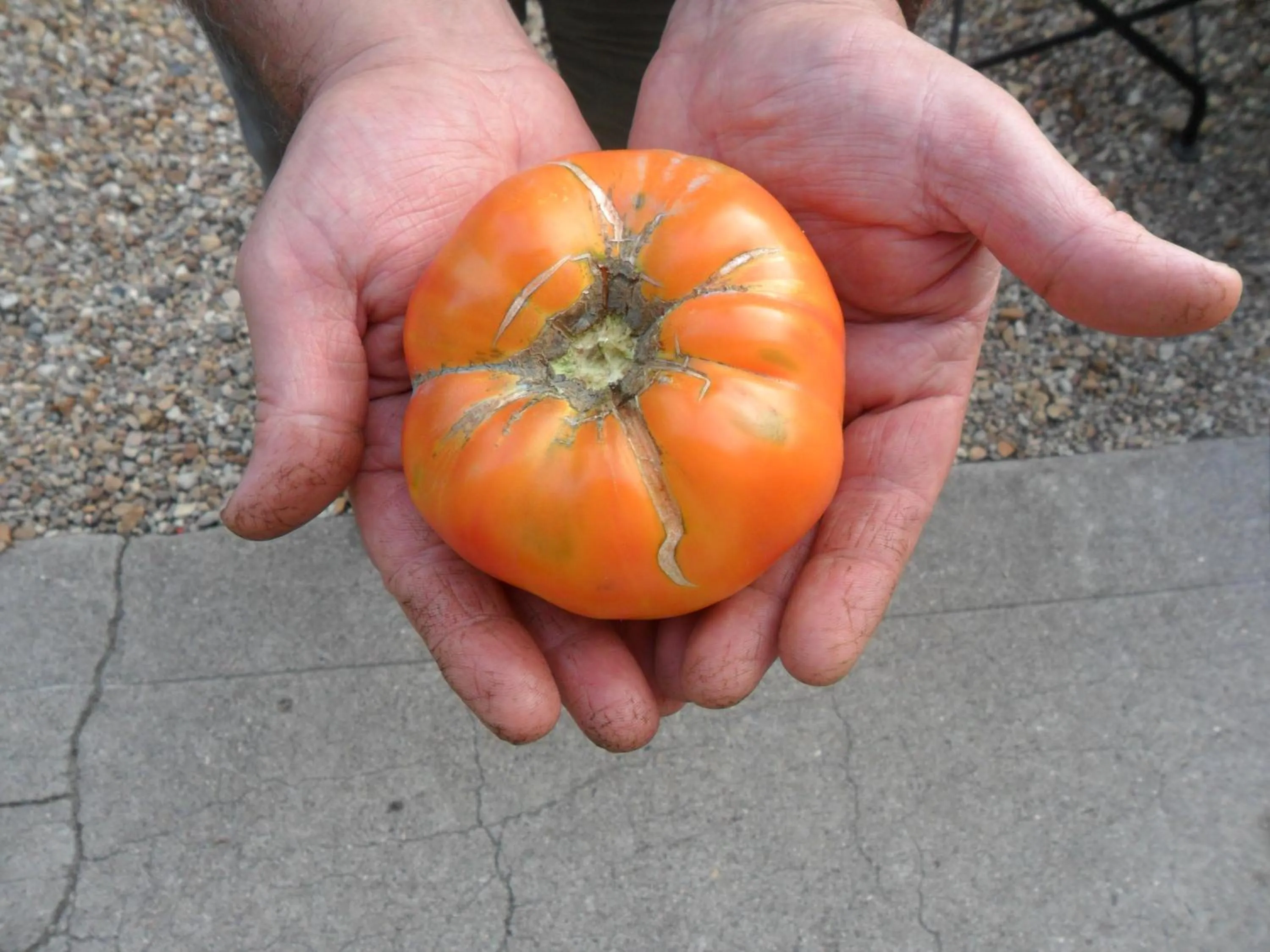 Garden in Chambres d'Hôtes La Turone