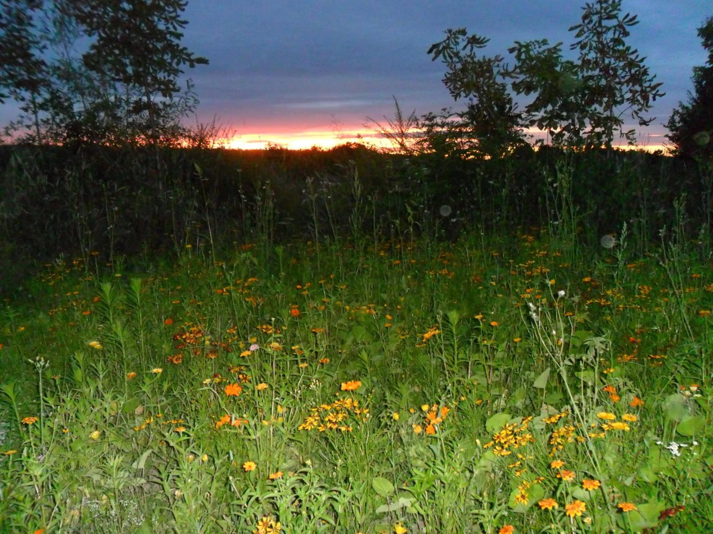 Natural landscape in Chambres d'Hôtes La Turone