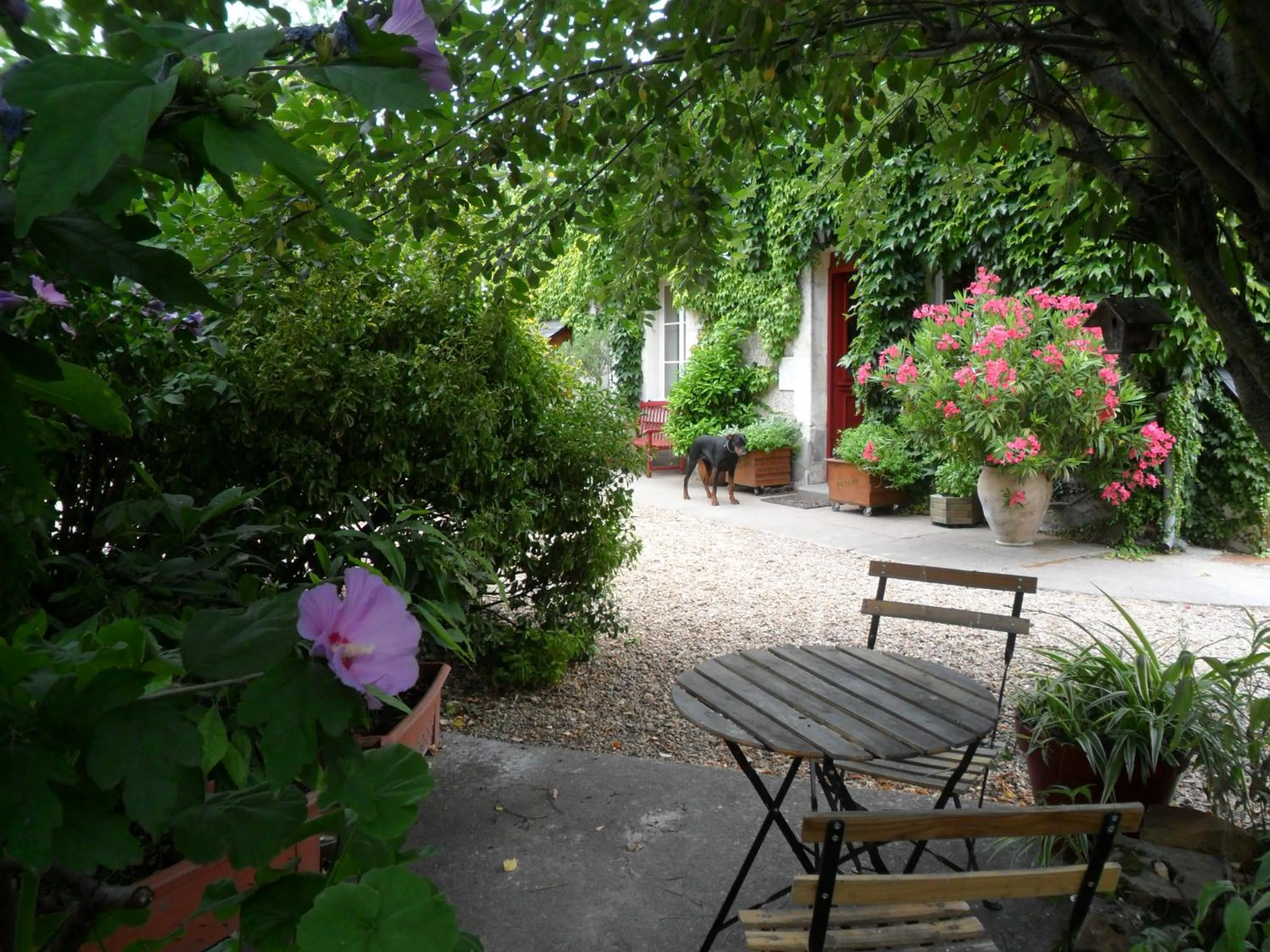 Patio in Chambres d'Hôtes La Turone