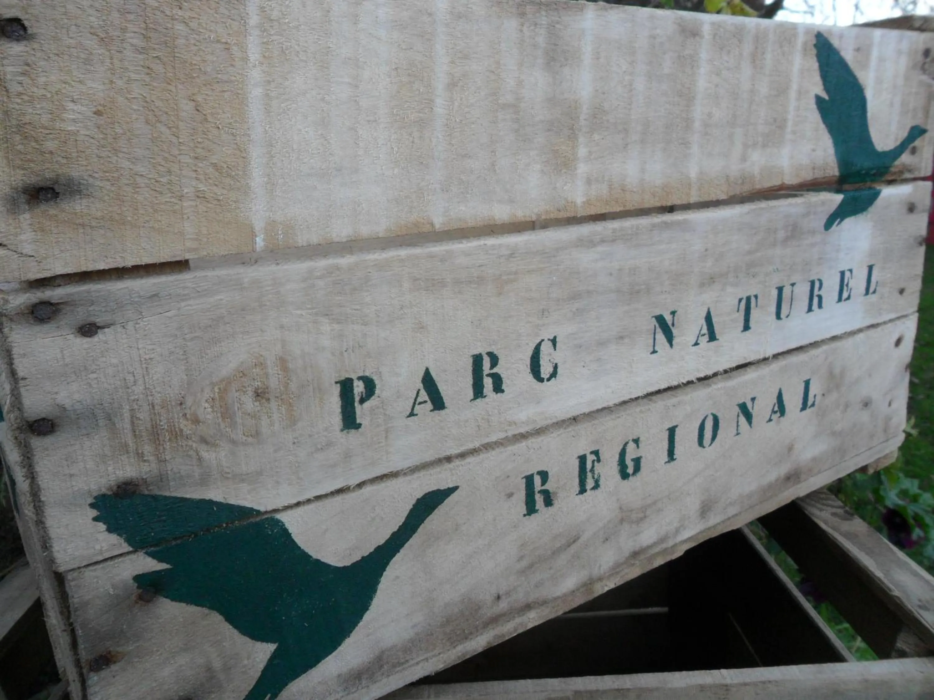 Natural landscape in Chambres d'Hôtes La Turone